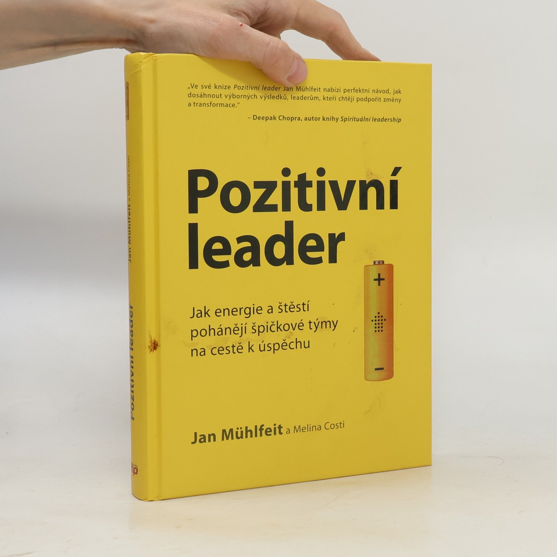 Jan Mühlfeit Pozitivní leader