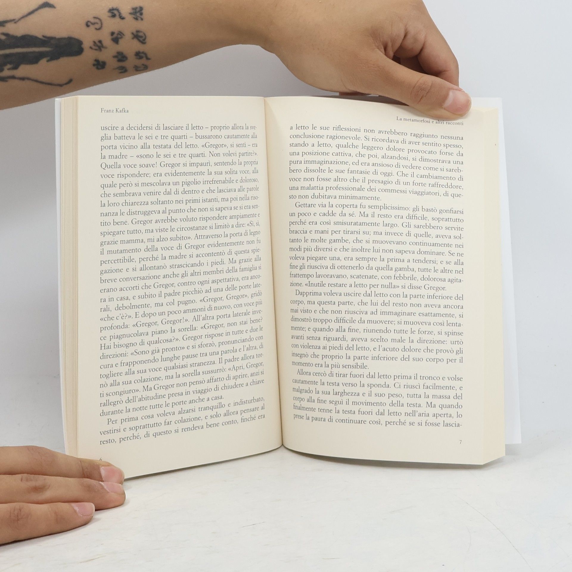 Franz Kafka La metamorfosi e altri racconti