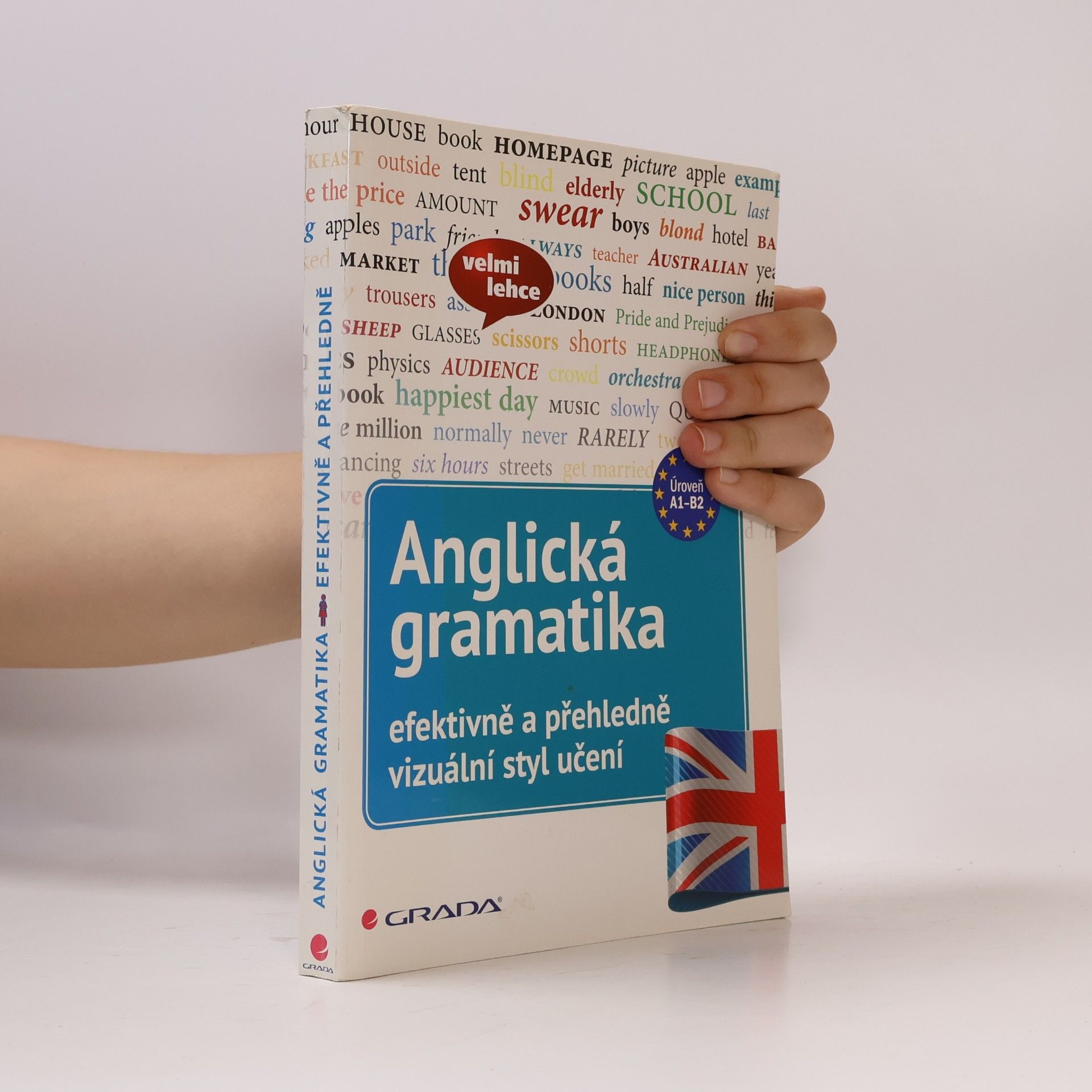 Martin Lutz Anglická gramatika - efektivně a přehledně