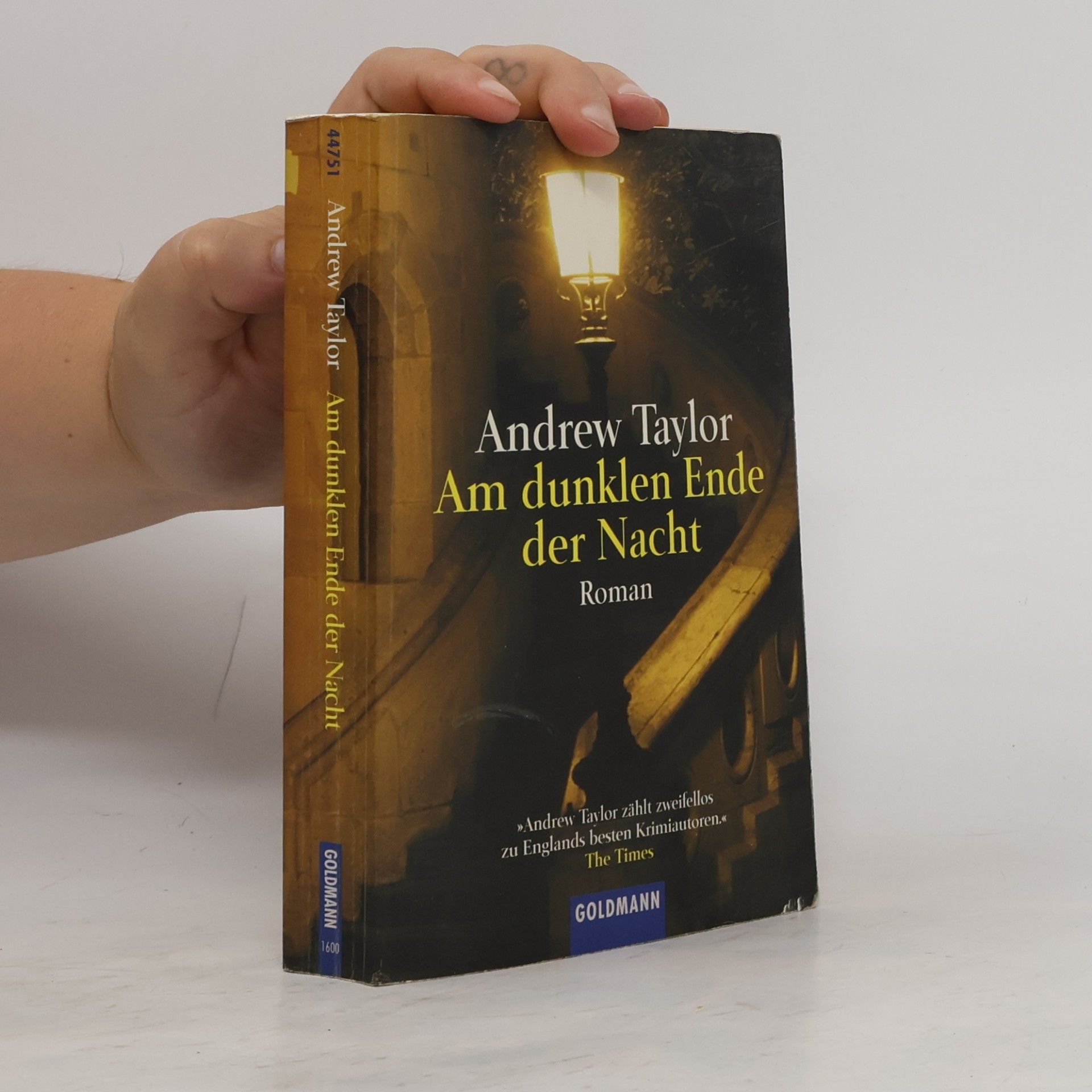 John Robert Taylor Am dunklen Ende der Nacht