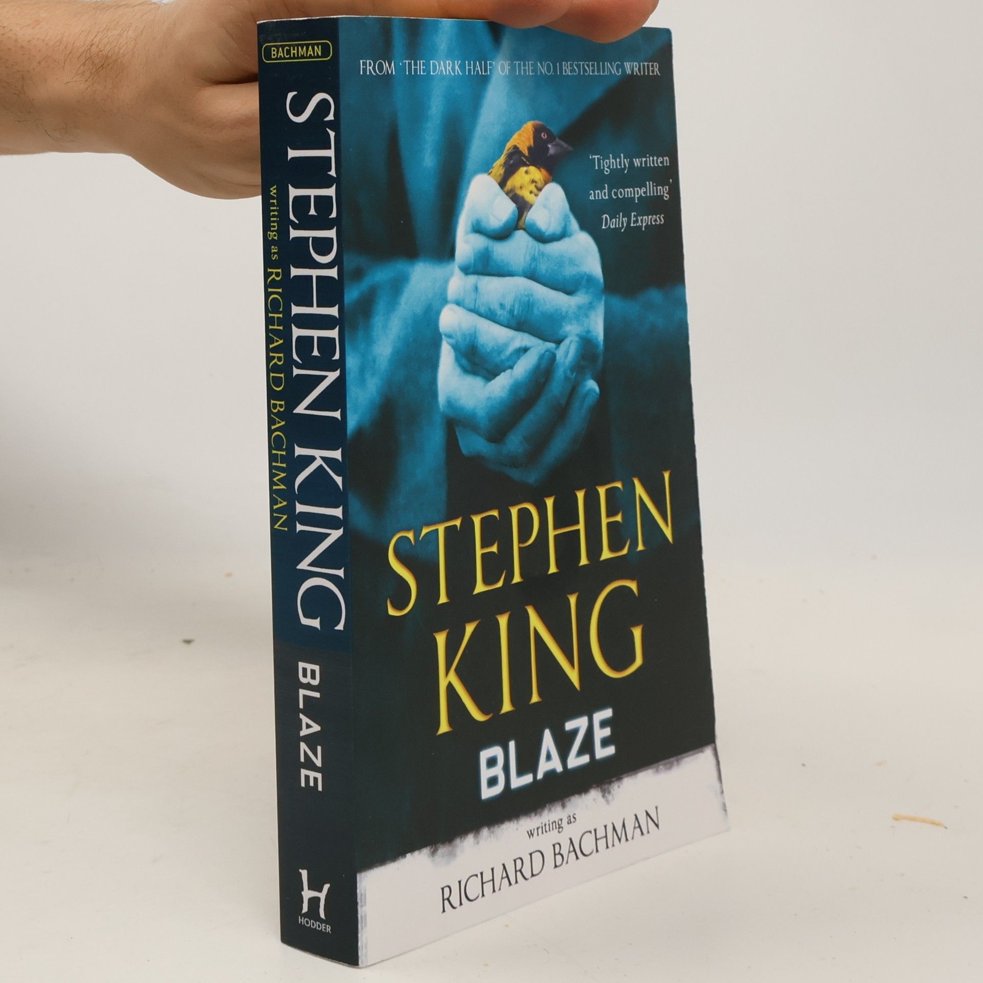 Stephen King Blaze