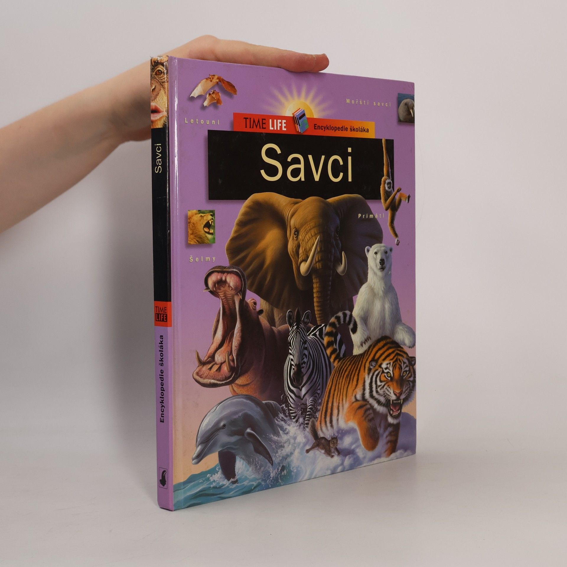 Savci