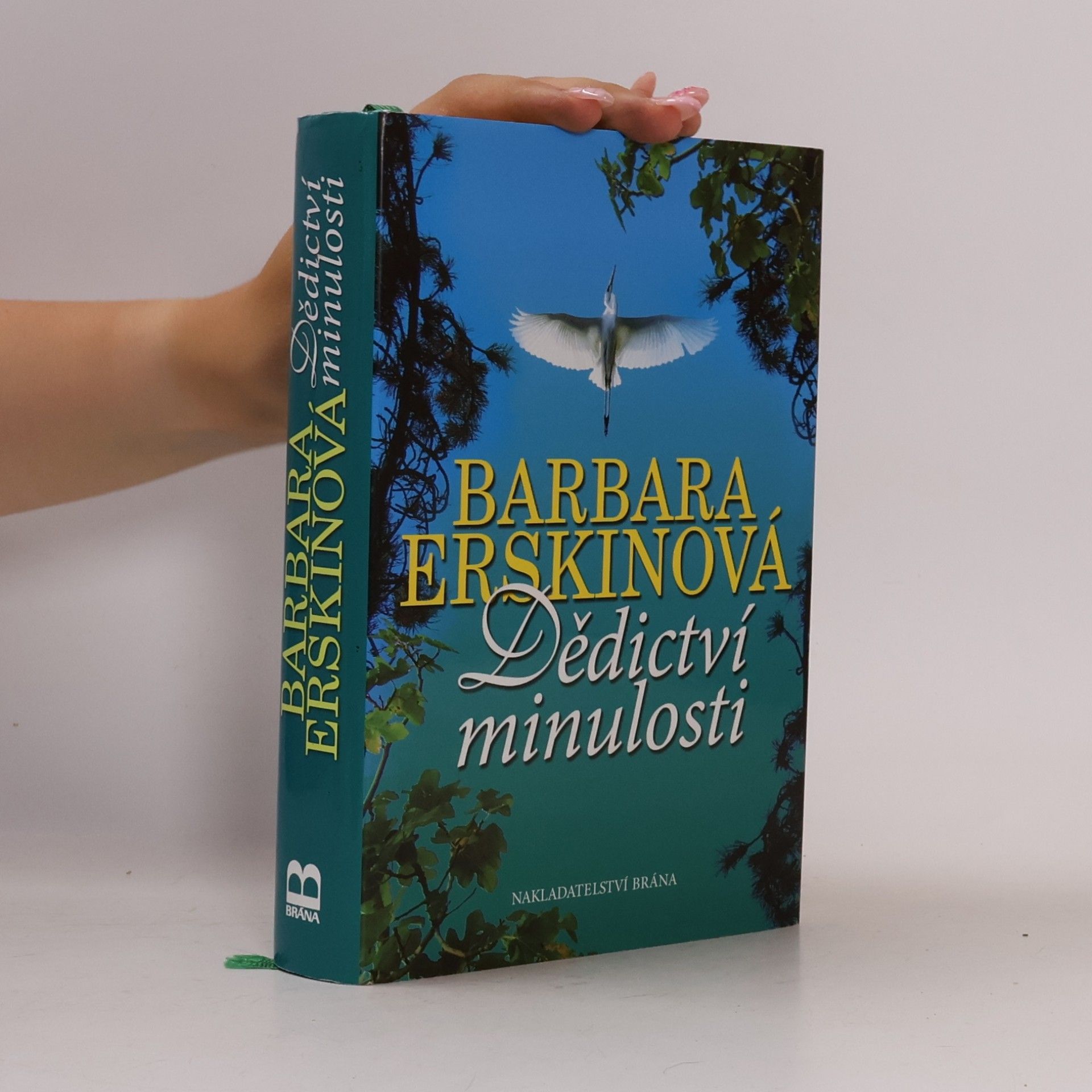 Barbara Erskine Dědictví minulosti