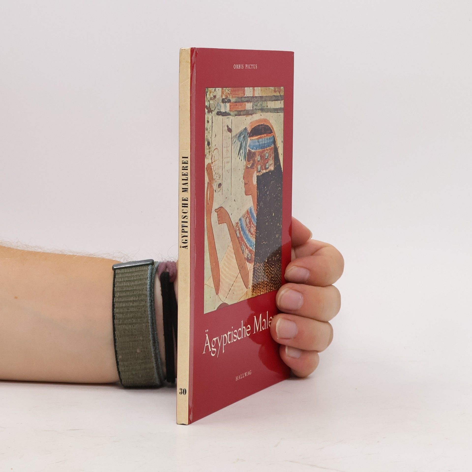 Kolektiv autorů Ägyptische Malerei