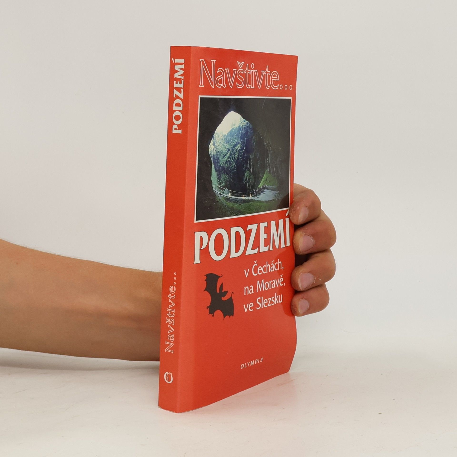 Jaroslav Hromas Podzemí v Čechách, na Moravě, ve Slezsku