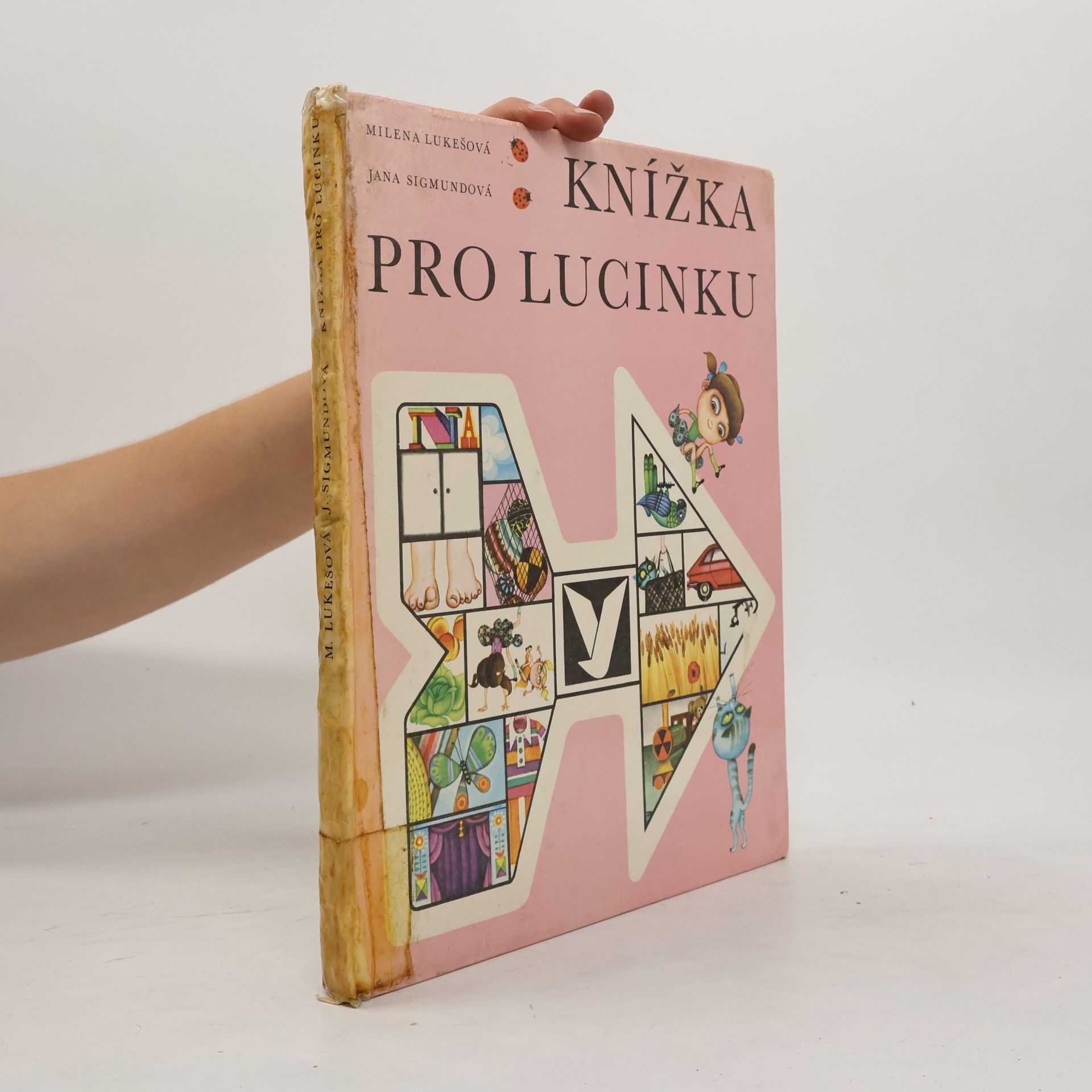 Milena Lukešová Knížka pro Lucinku