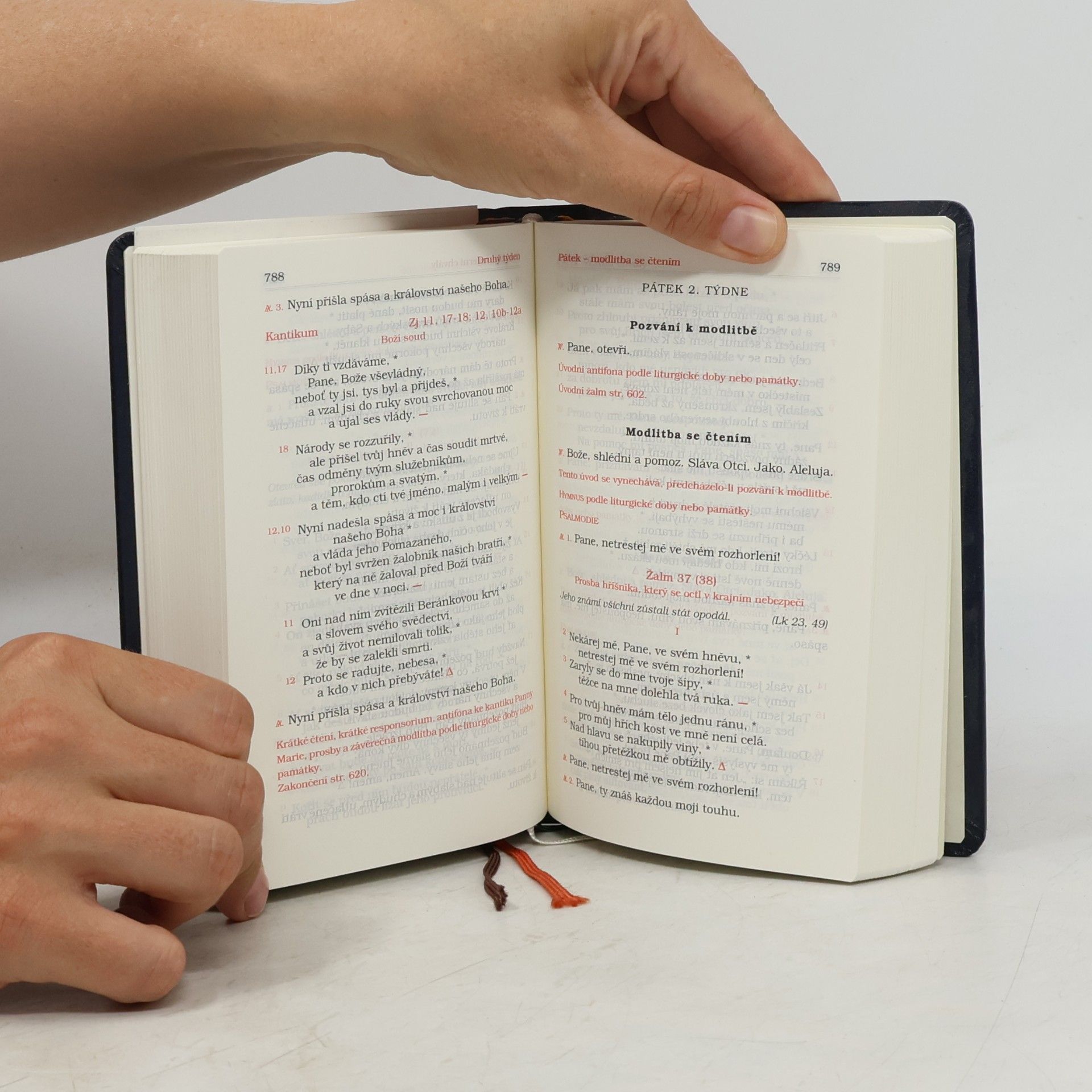 Kolektiv autorů Liturgie hodin I.