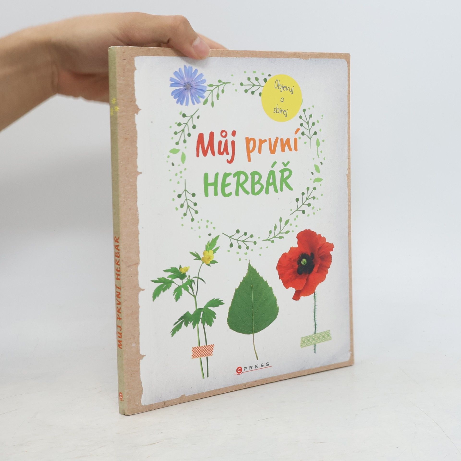 Anna Linstadt Můj první herbář