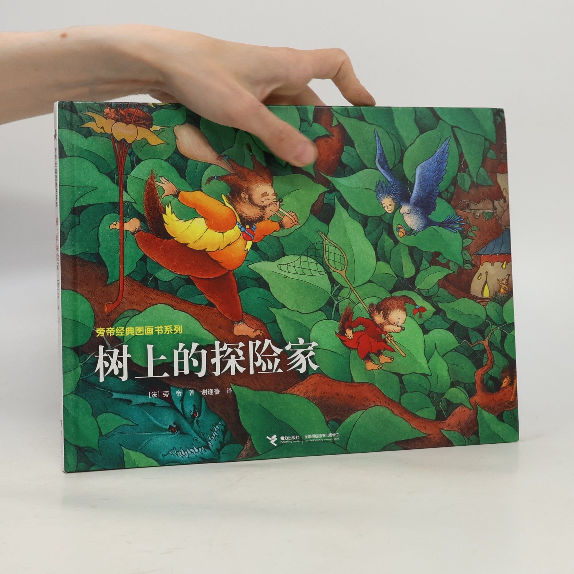树上的探险家