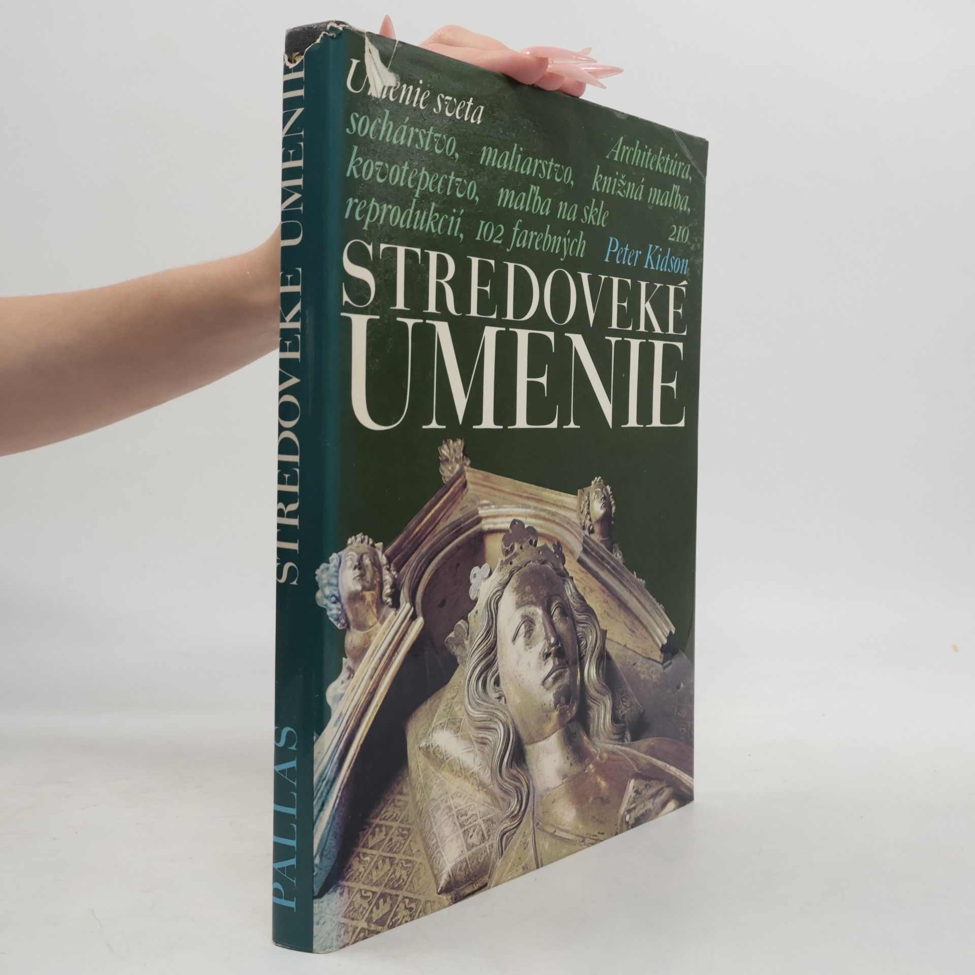 Peter Kidson Stredoveké umenie