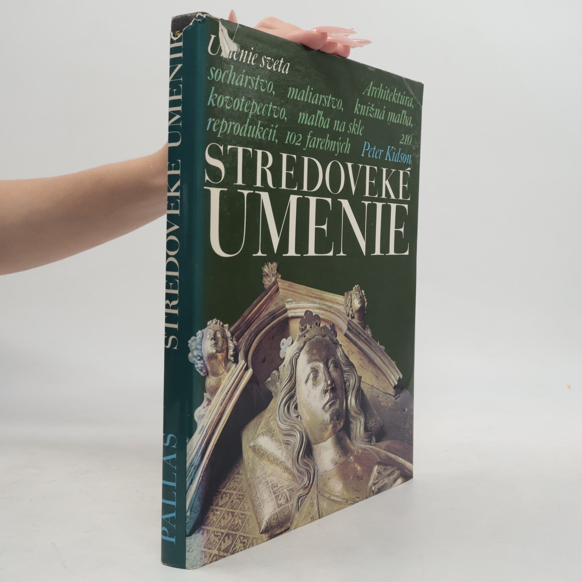 Peter Kidson Stredoveké umenie