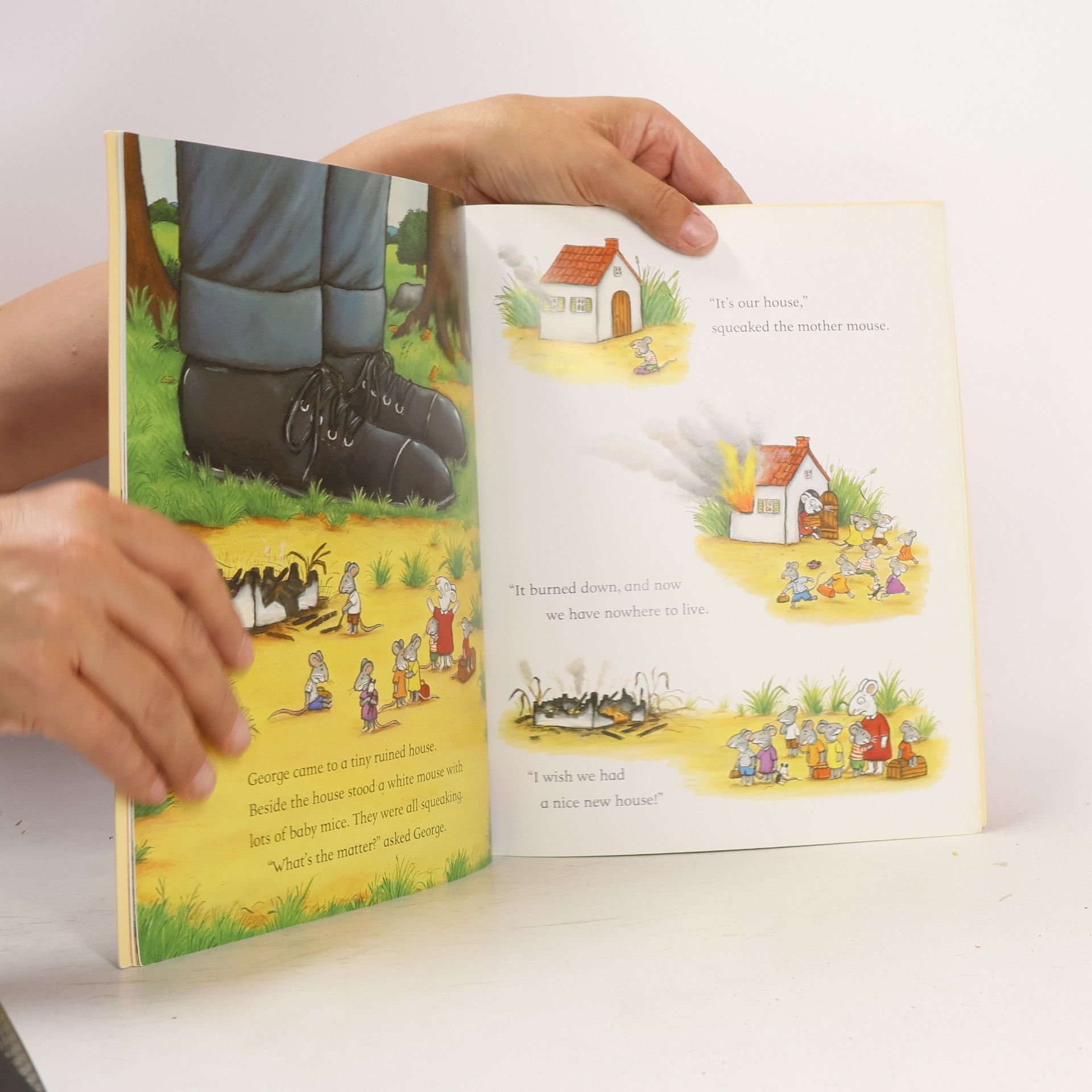 Axel Scheffler The Smartest Giant in Town