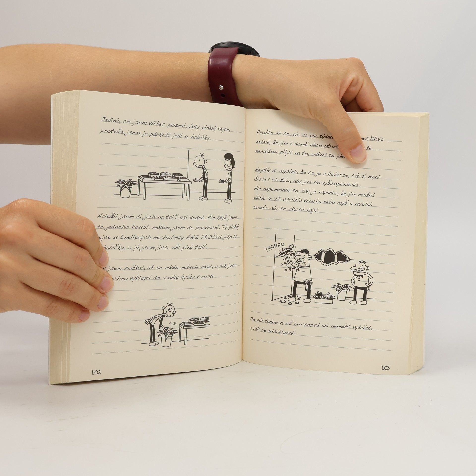 Jeff Kinney Deník malého poseroutky 5. Ošklivá pravda