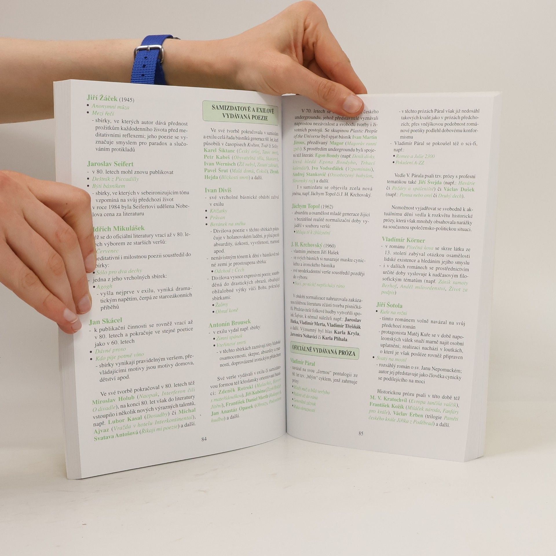 Václav Baláček Česká a světová literatura k maturitě