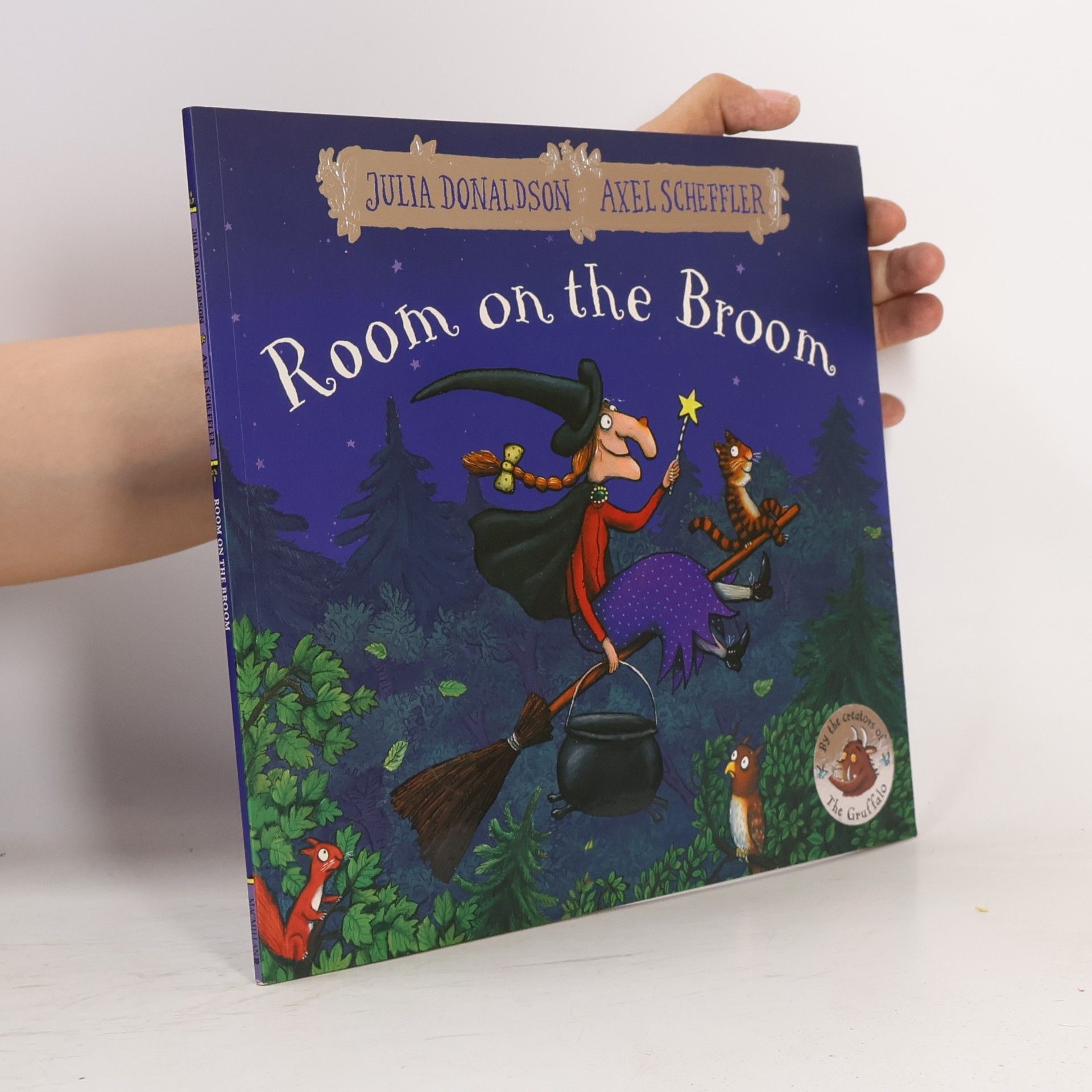Julia Donaldson Room on the Broom