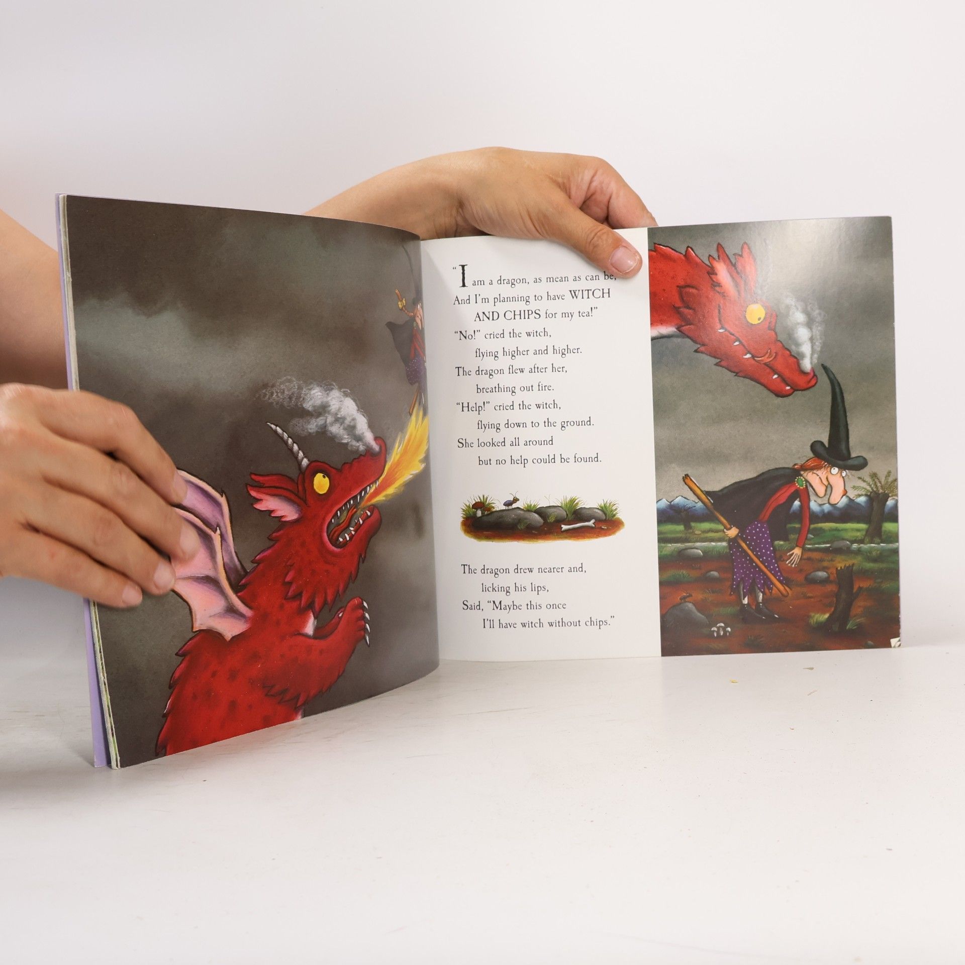 Julia Donaldson Room on the Broom