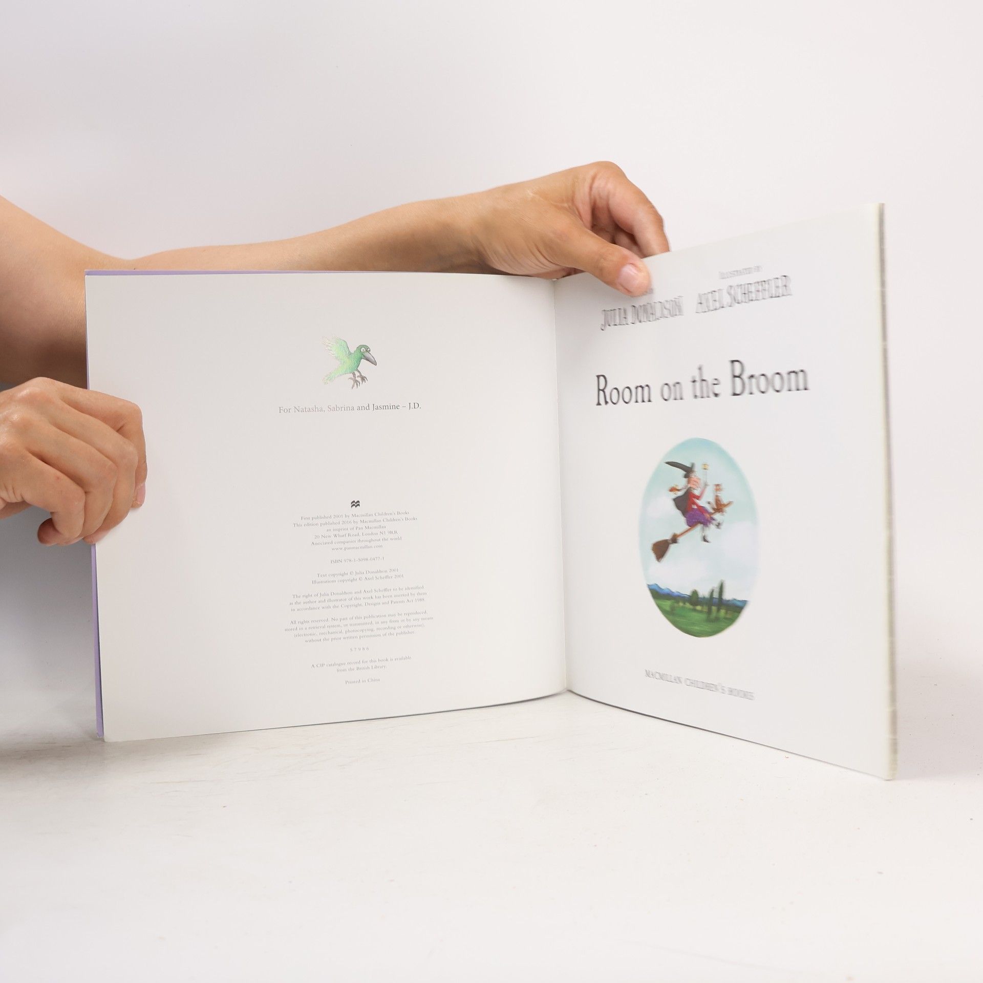 Julia Donaldson Room on the Broom