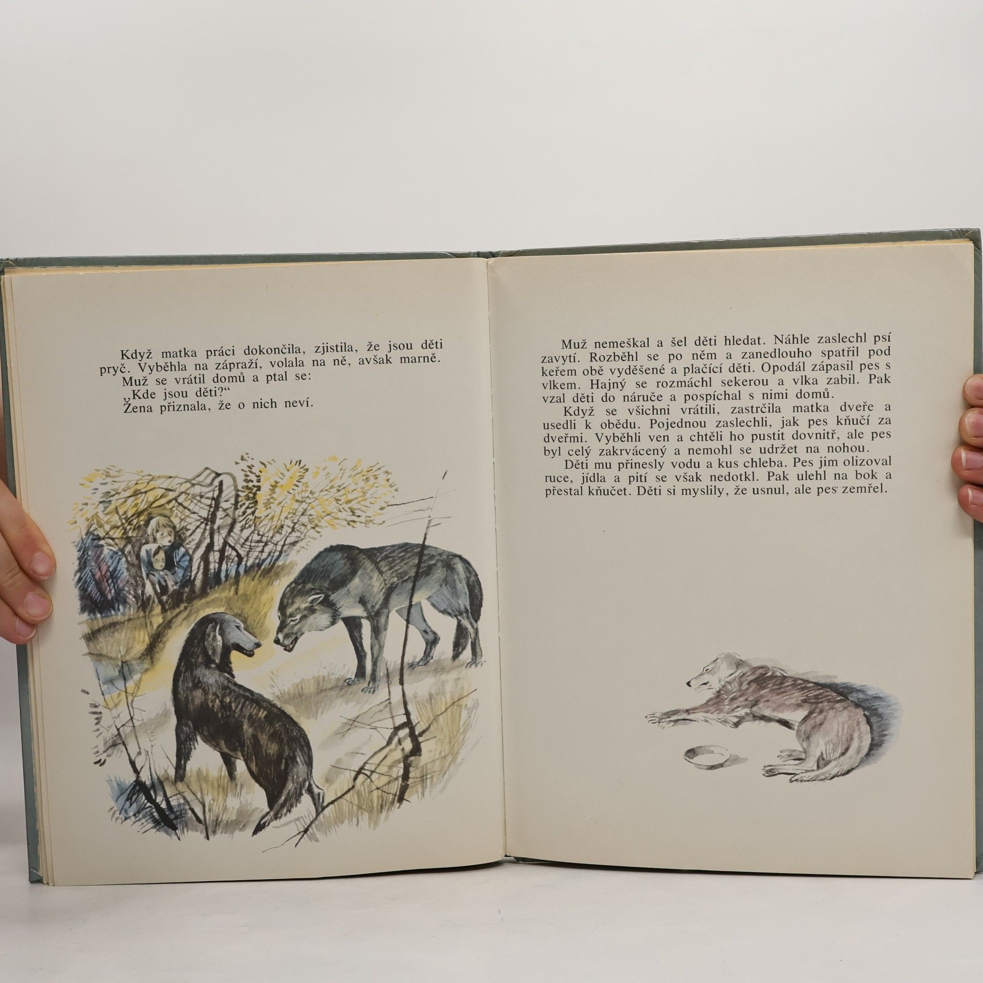 Lew Nikolajewitsch Tolstoi Povídky