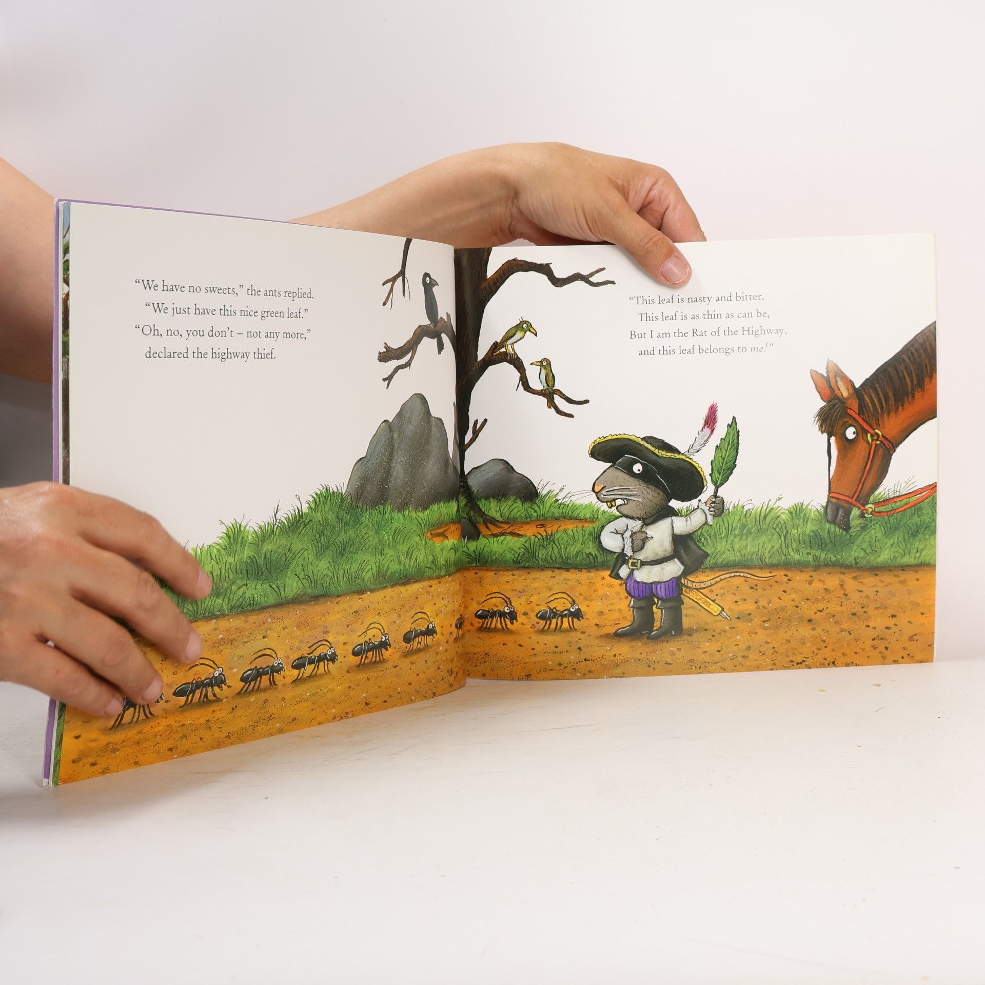 Julia Donaldson The Highway Rat