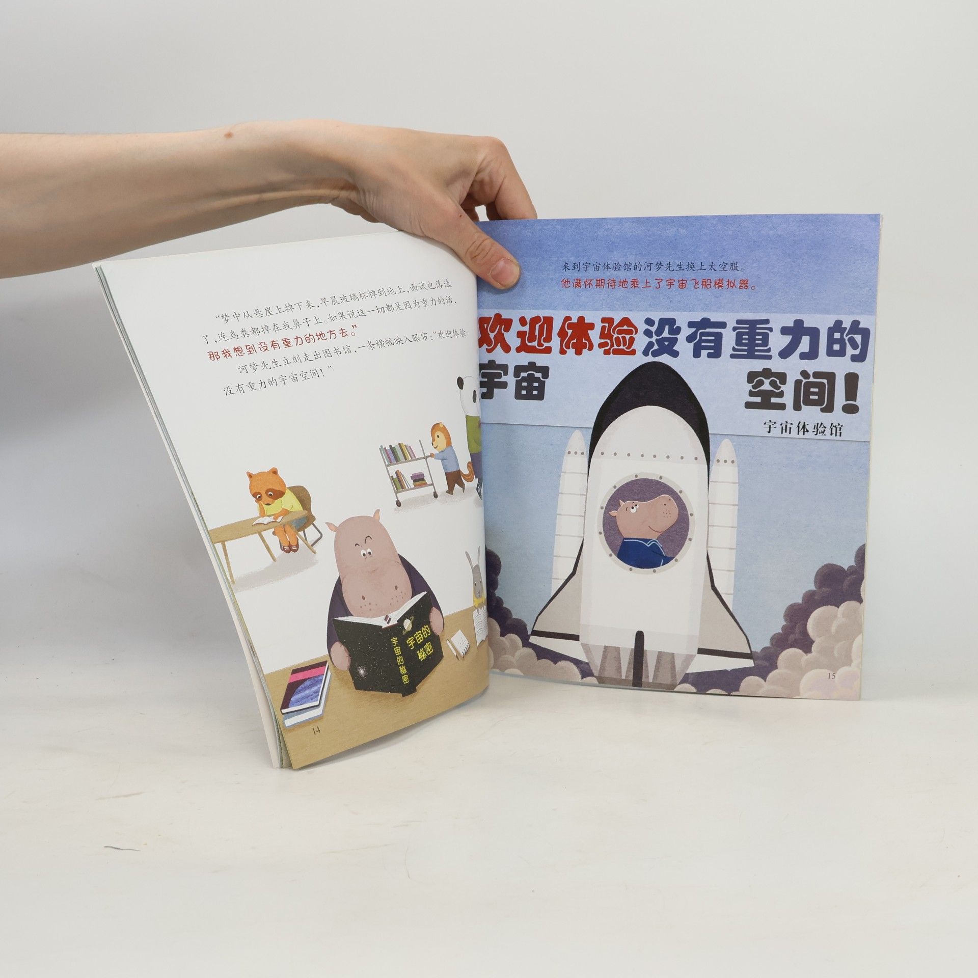 金准英 总是落下的理由