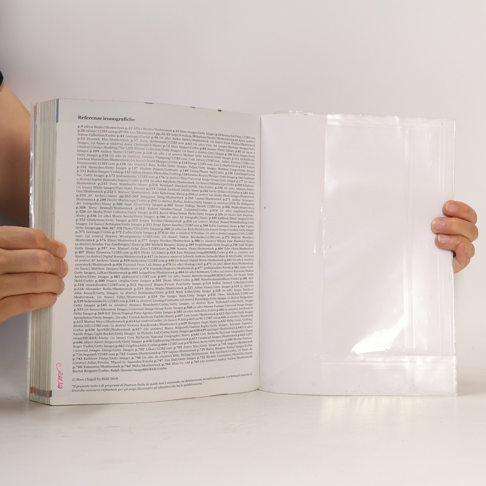 Palmira Aristodemo Nel cuore dei libri