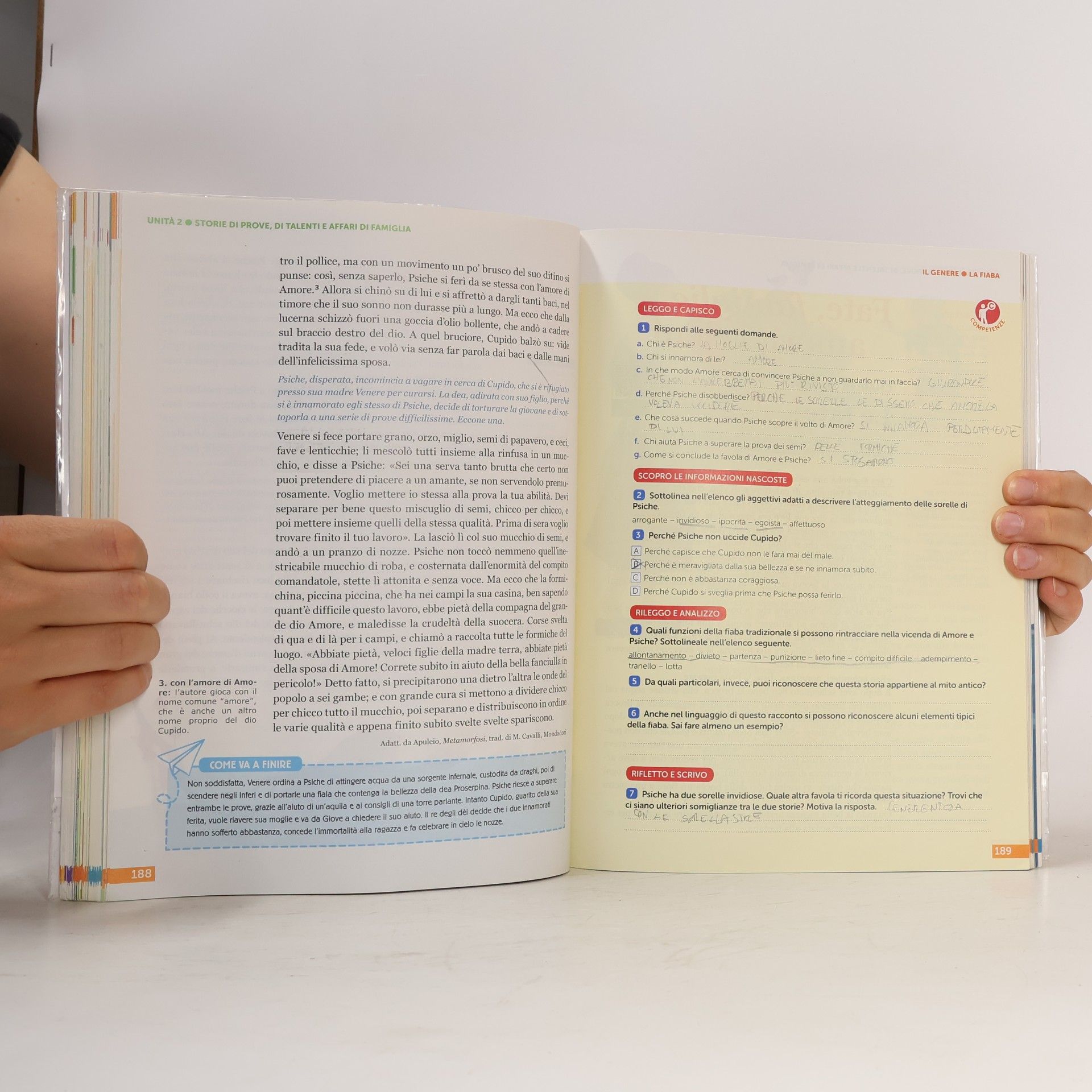 Palmira Aristodemo Nel cuore dei libri