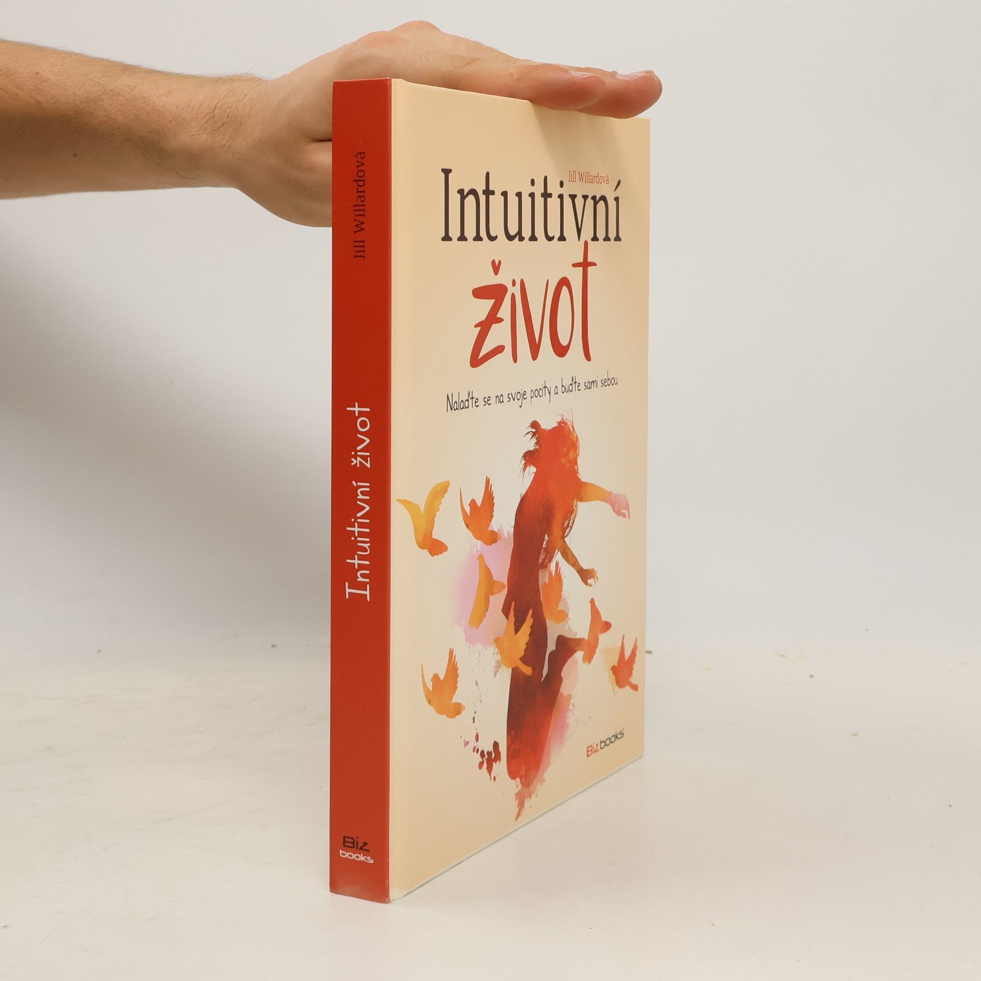 Jill Willard Intuitivní život: Nalaďte se na svou intuici a buďte sami sebou