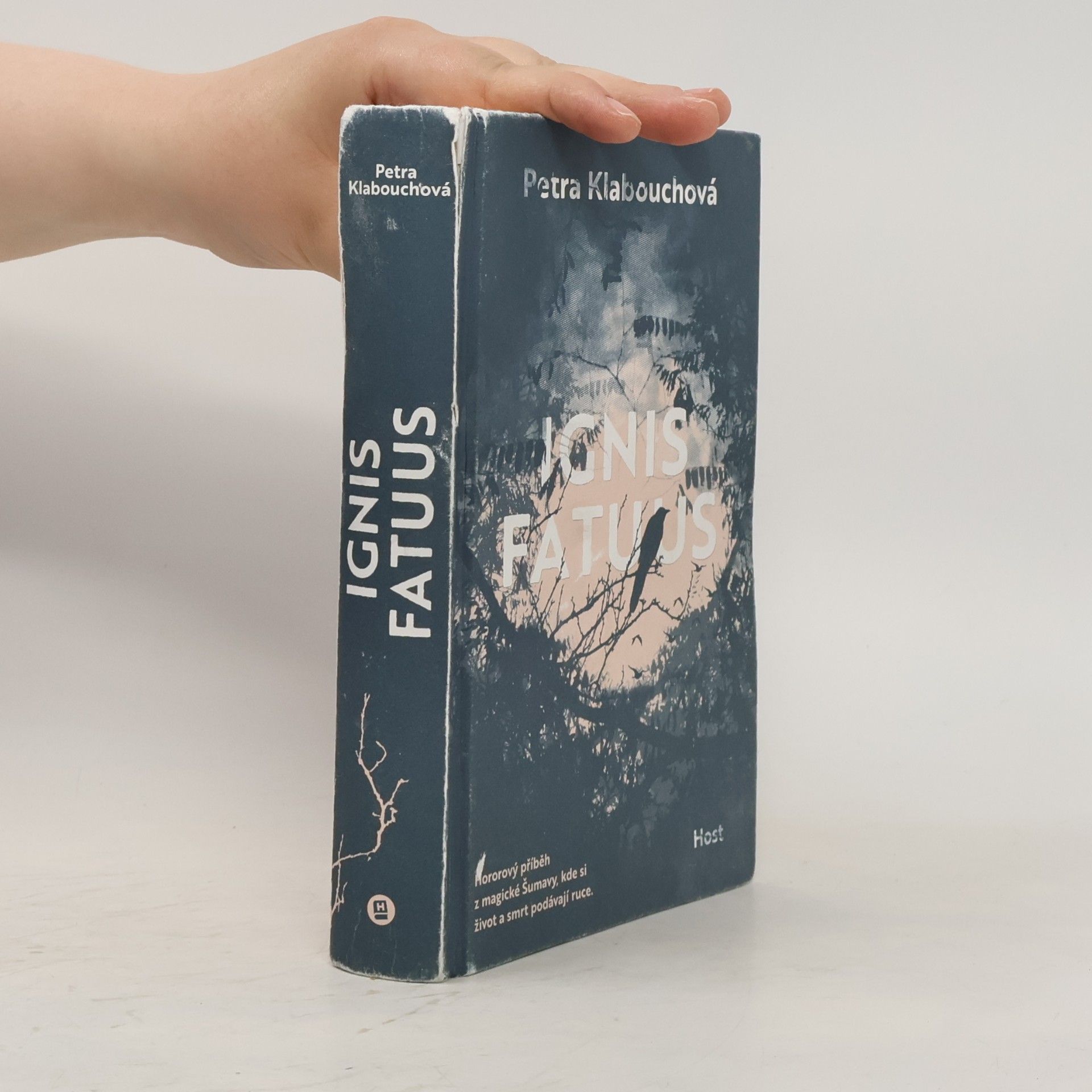 Petra Klabouchová Ignis Fatuus