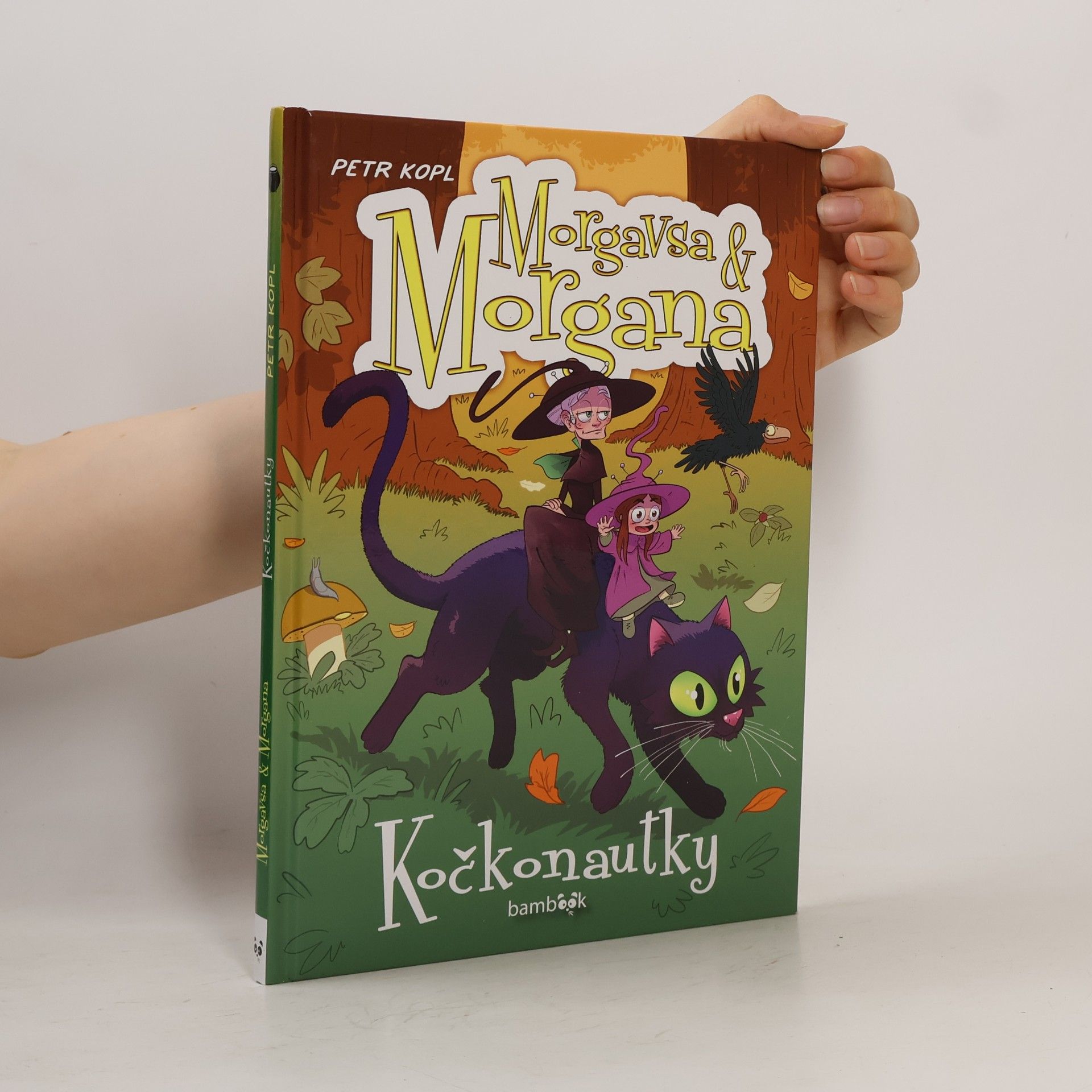 Morgavsa & Morgana: Kočkonautky