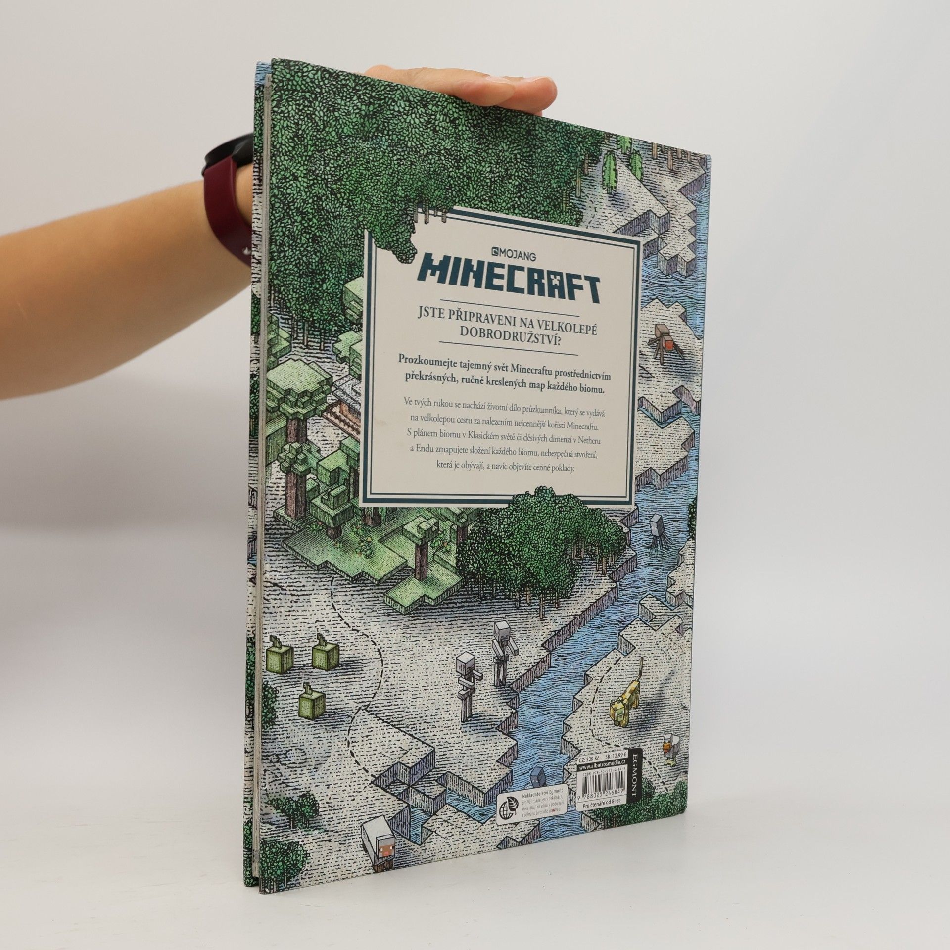 Stephanie Milton Minecraft atlas