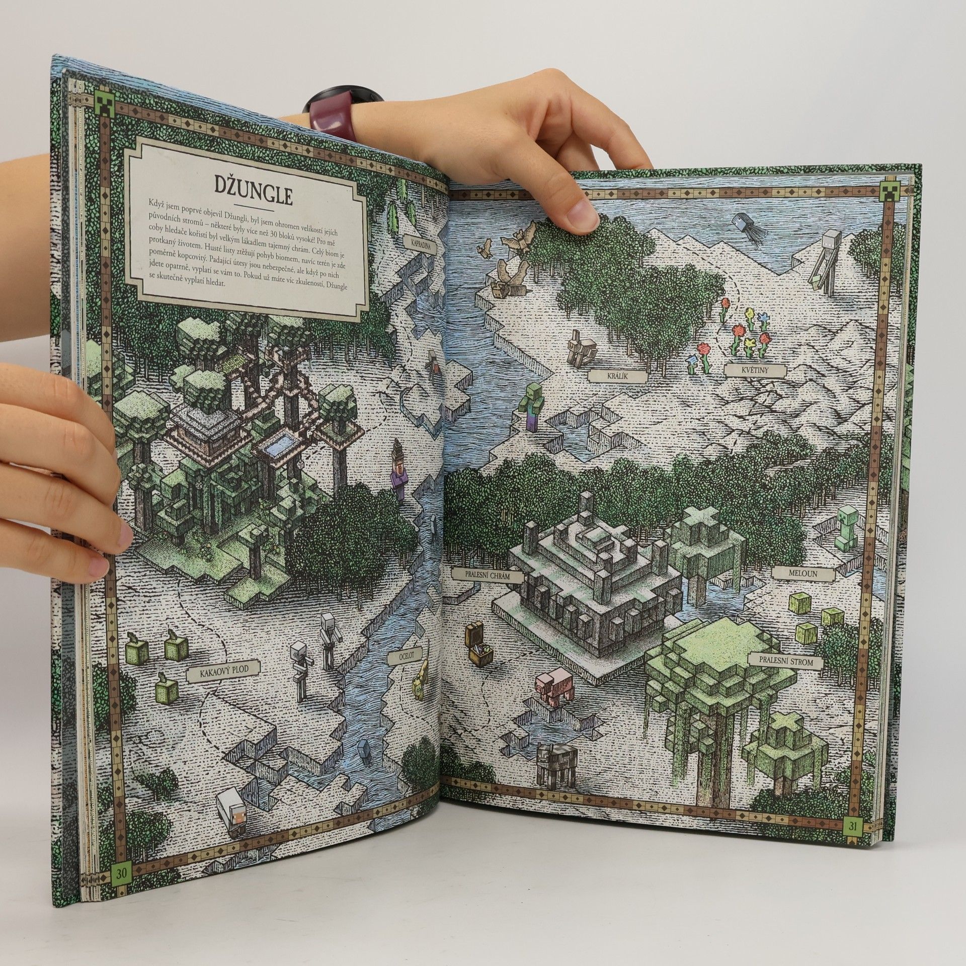 Stephanie Milton Minecraft atlas