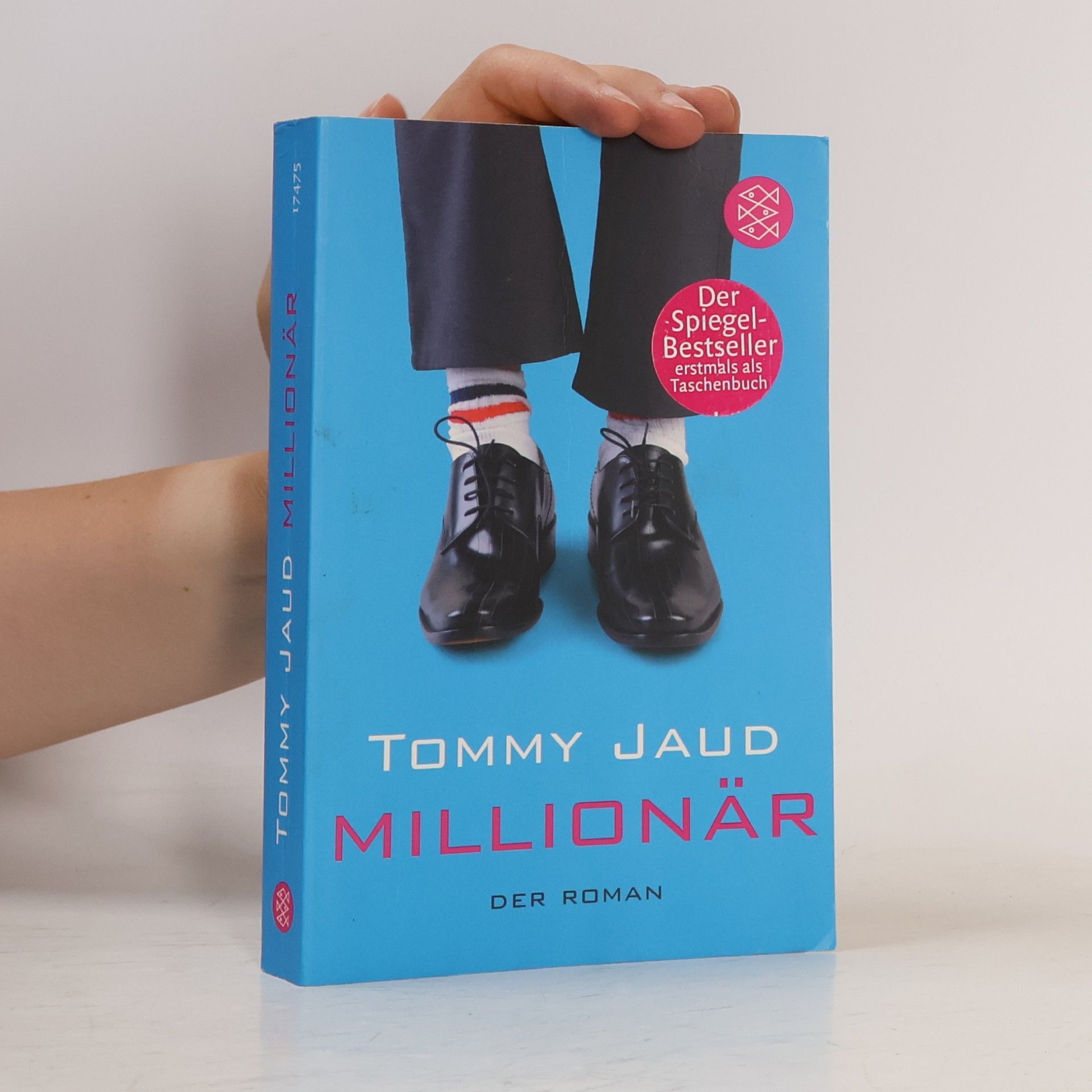 Tommy Jaud Millionär