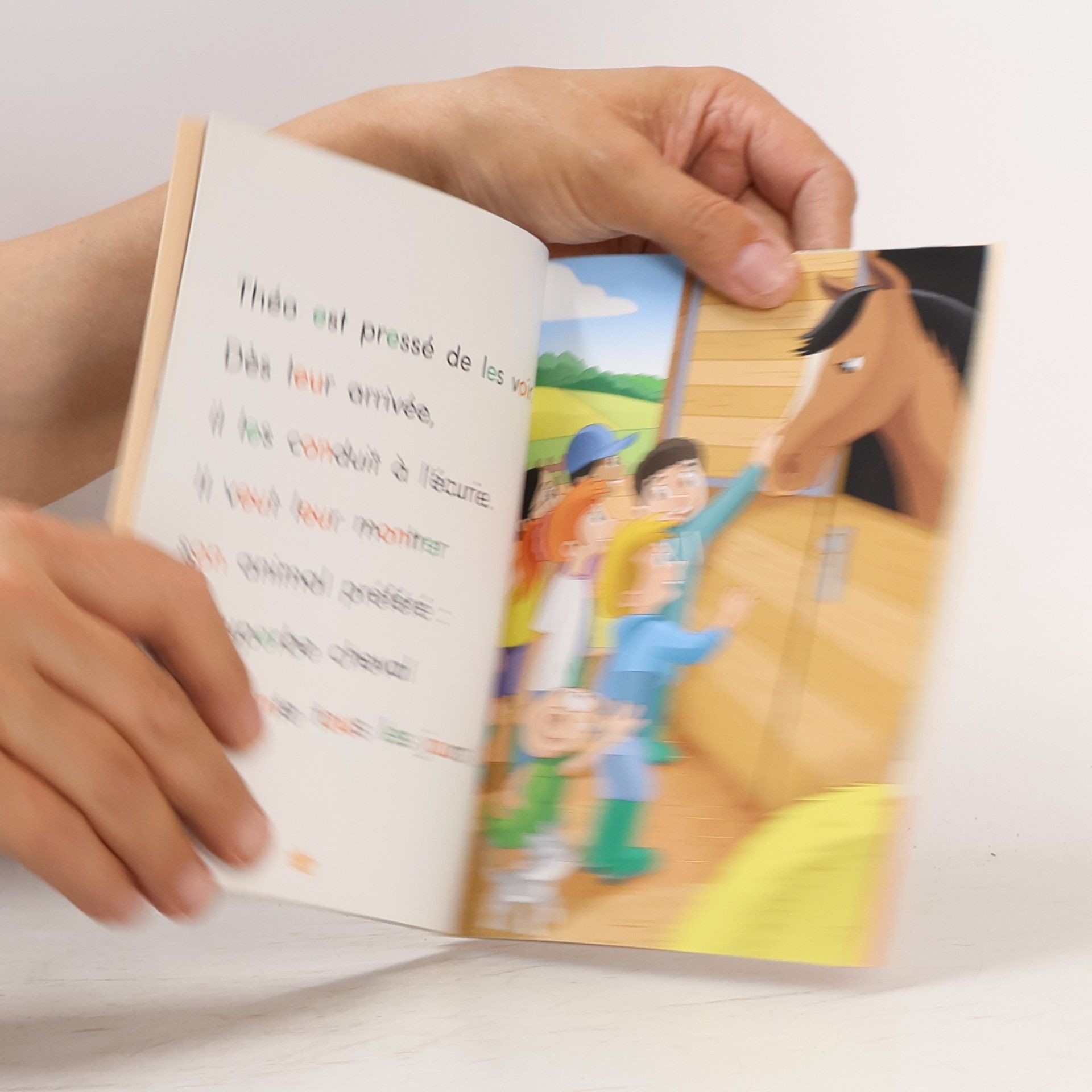 Claude Huguenin Apprendre à lire avec Les Alphas: Qui a vu le lapin ?