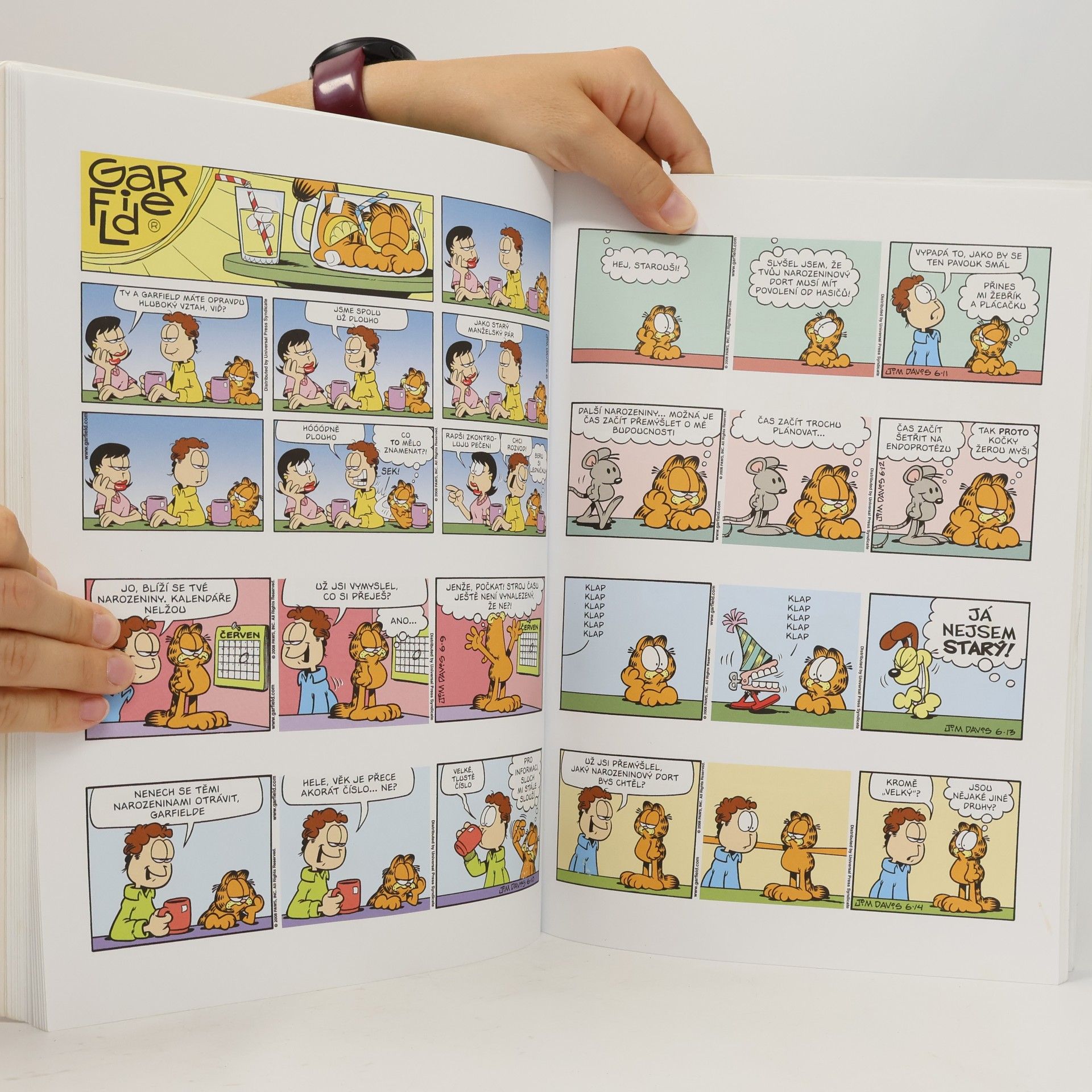 Jim Davis Garfield - Král zvěřiny