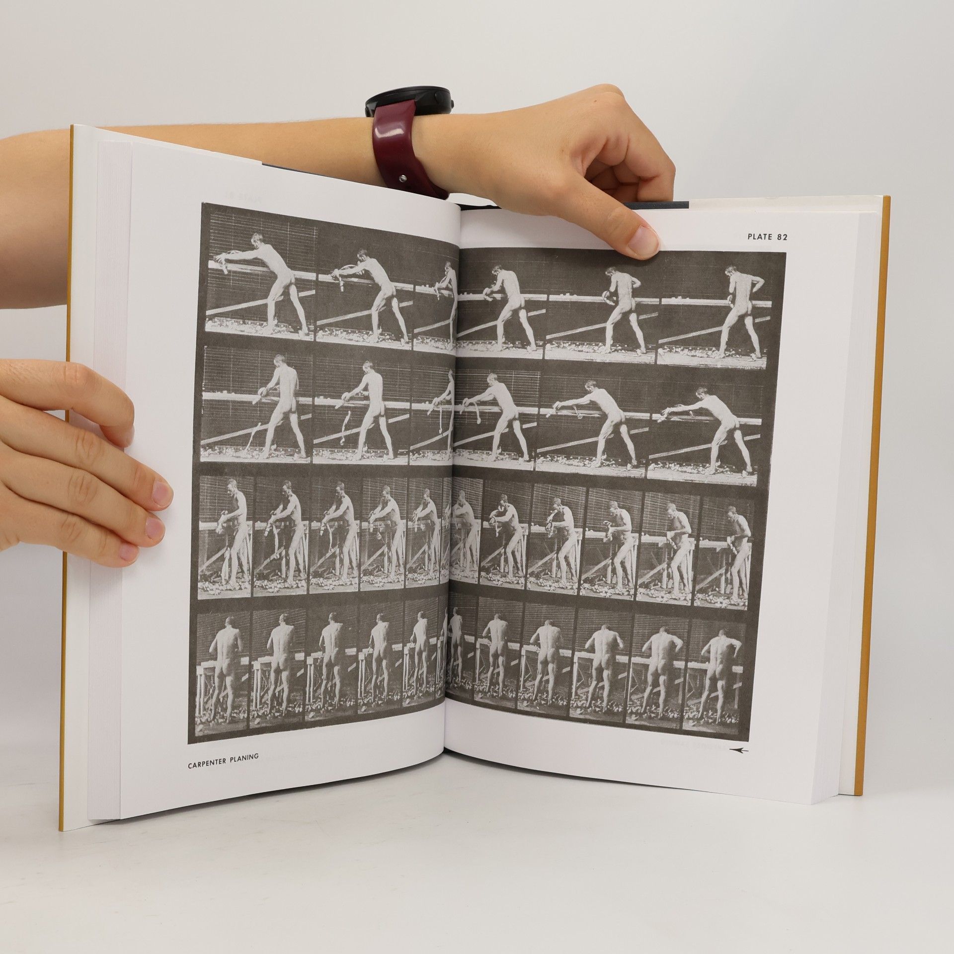 Eadweard Muybridge The Human Figure in Motion