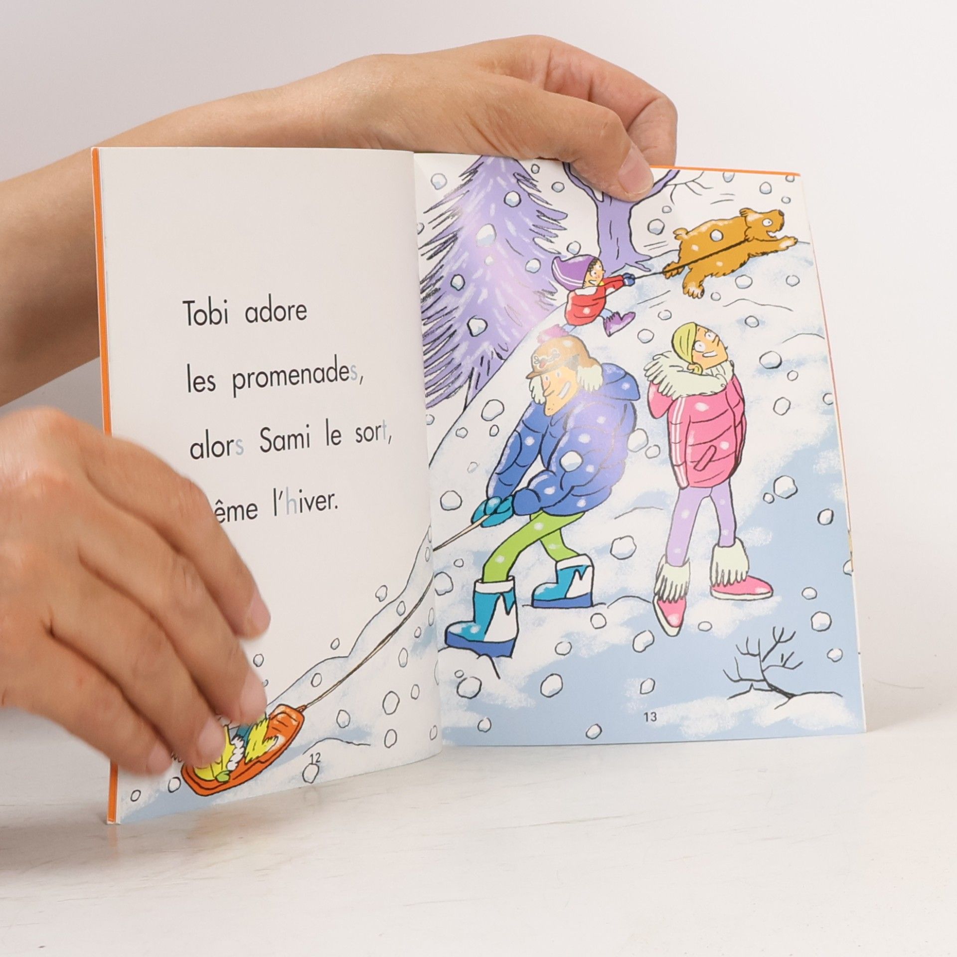 Autores varios Tobi est malade