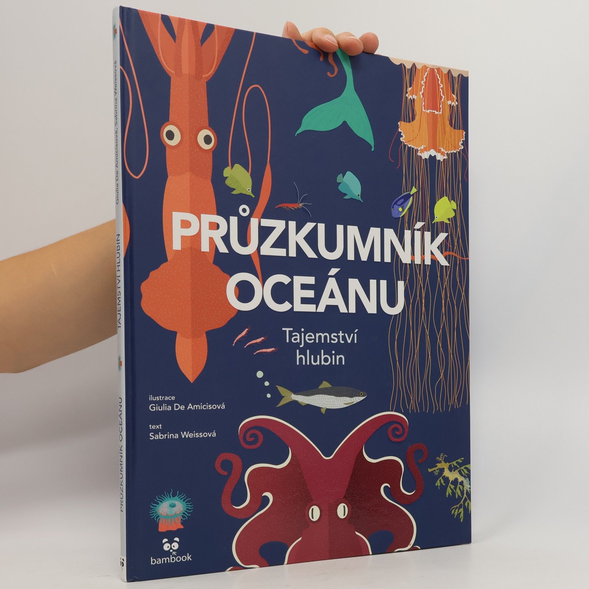 Giulia De Amicis Průzkumník oceánu. Tajemství hlubin