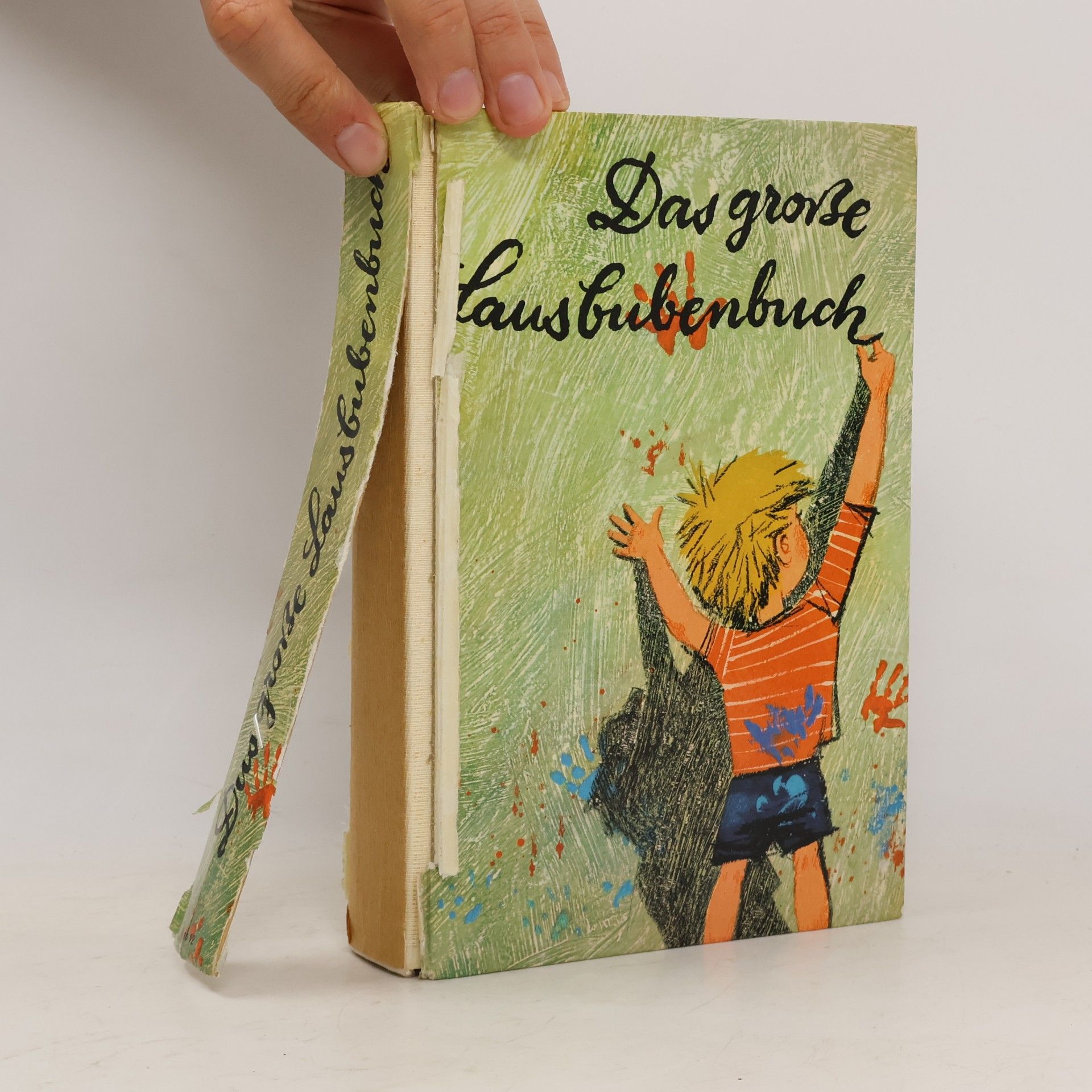 Das große Lausbubenbuch