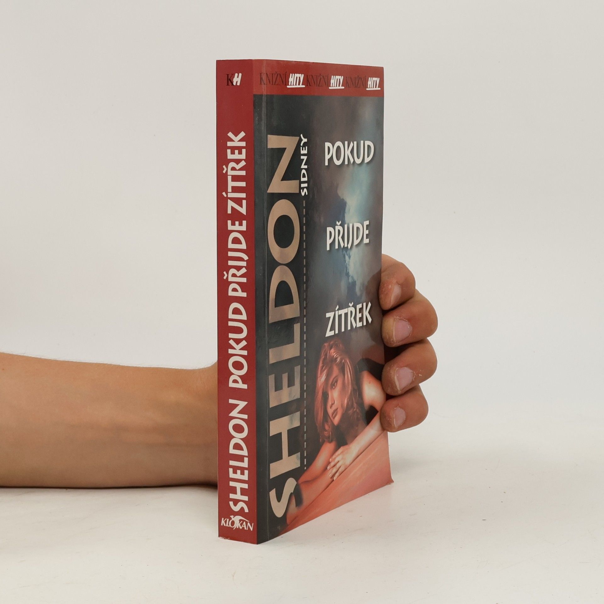 Sidney Sheldon Pokud přijde zítřek