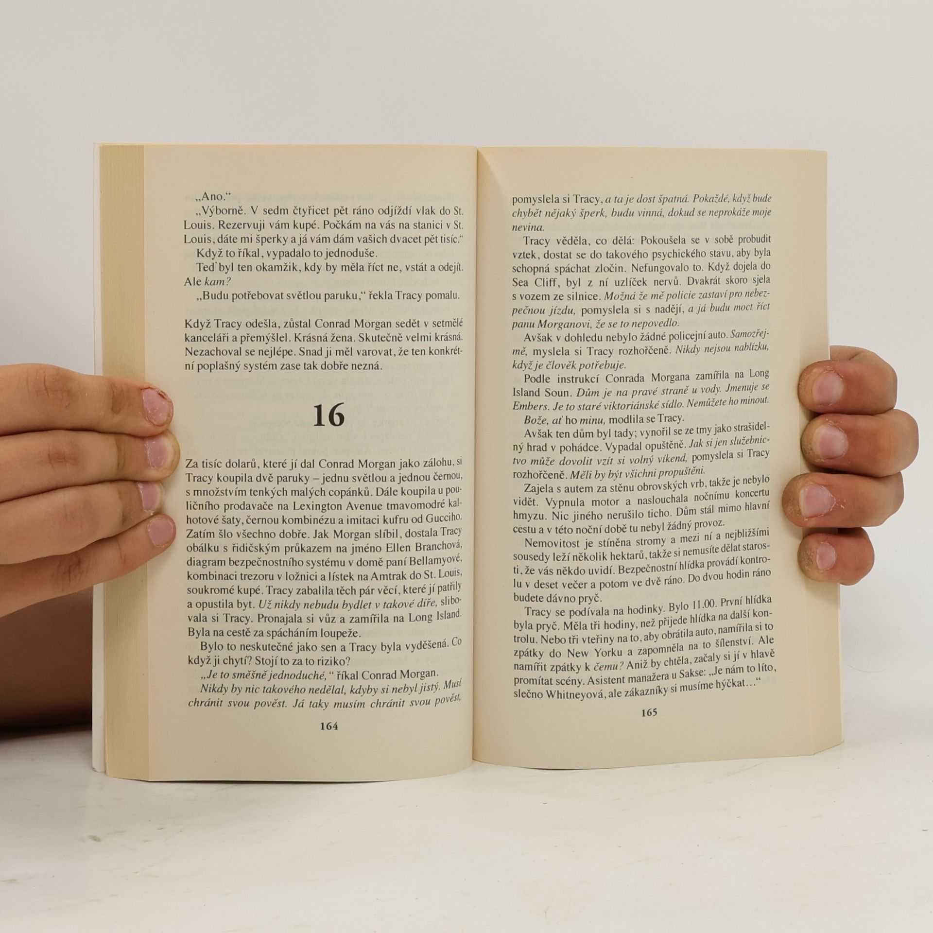 Sidney Sheldon Pokud přijde zítřek