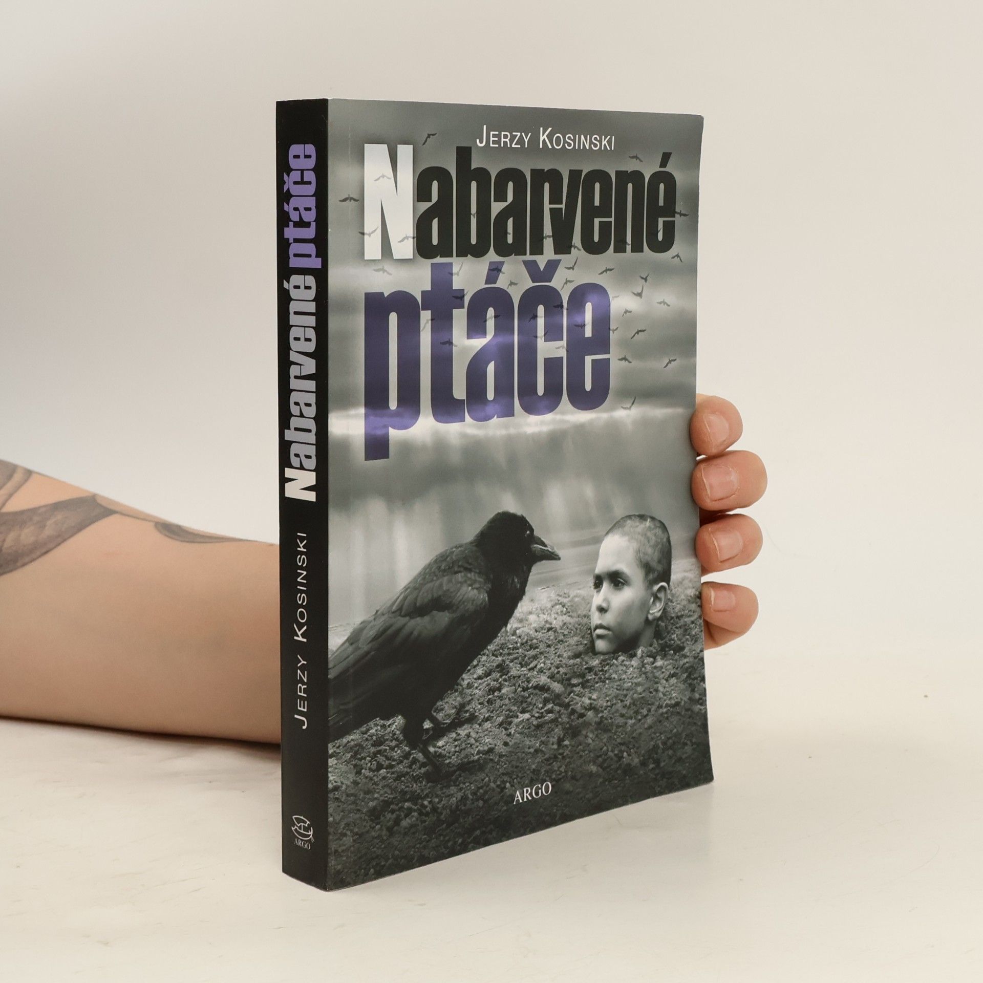 Jerzy Kosinski Nabarvené ptáče