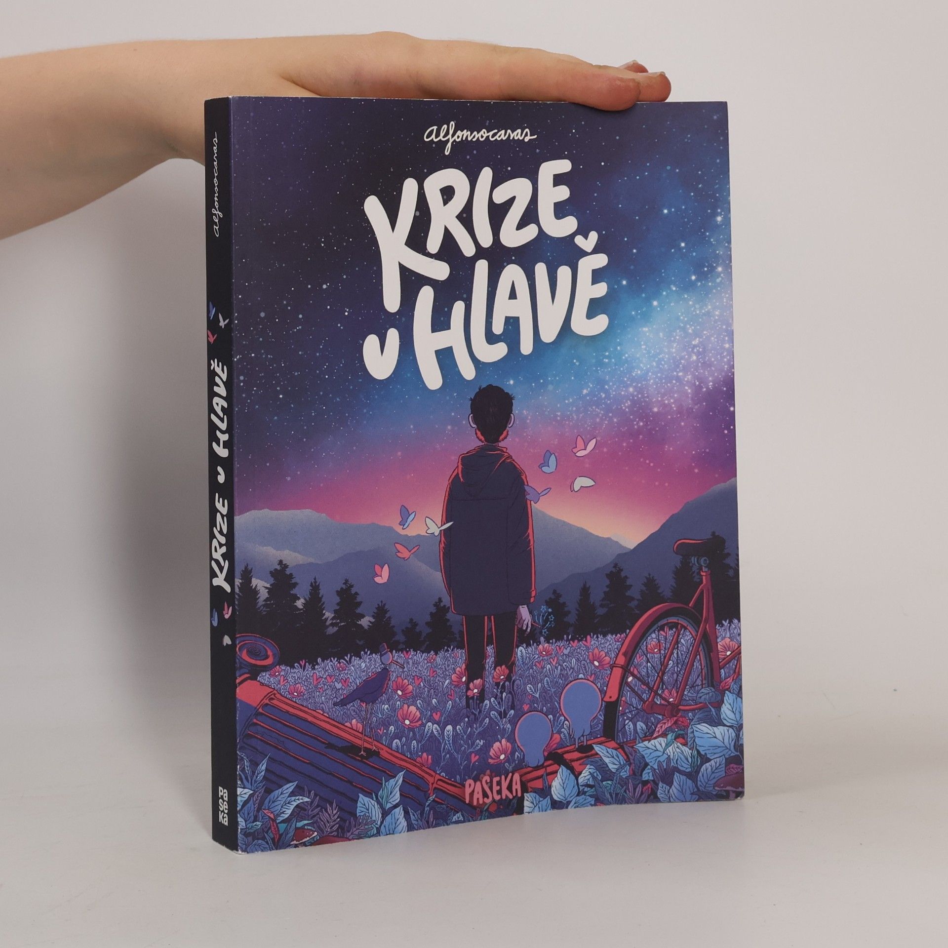 Alfonso Casas Krize v hlavě