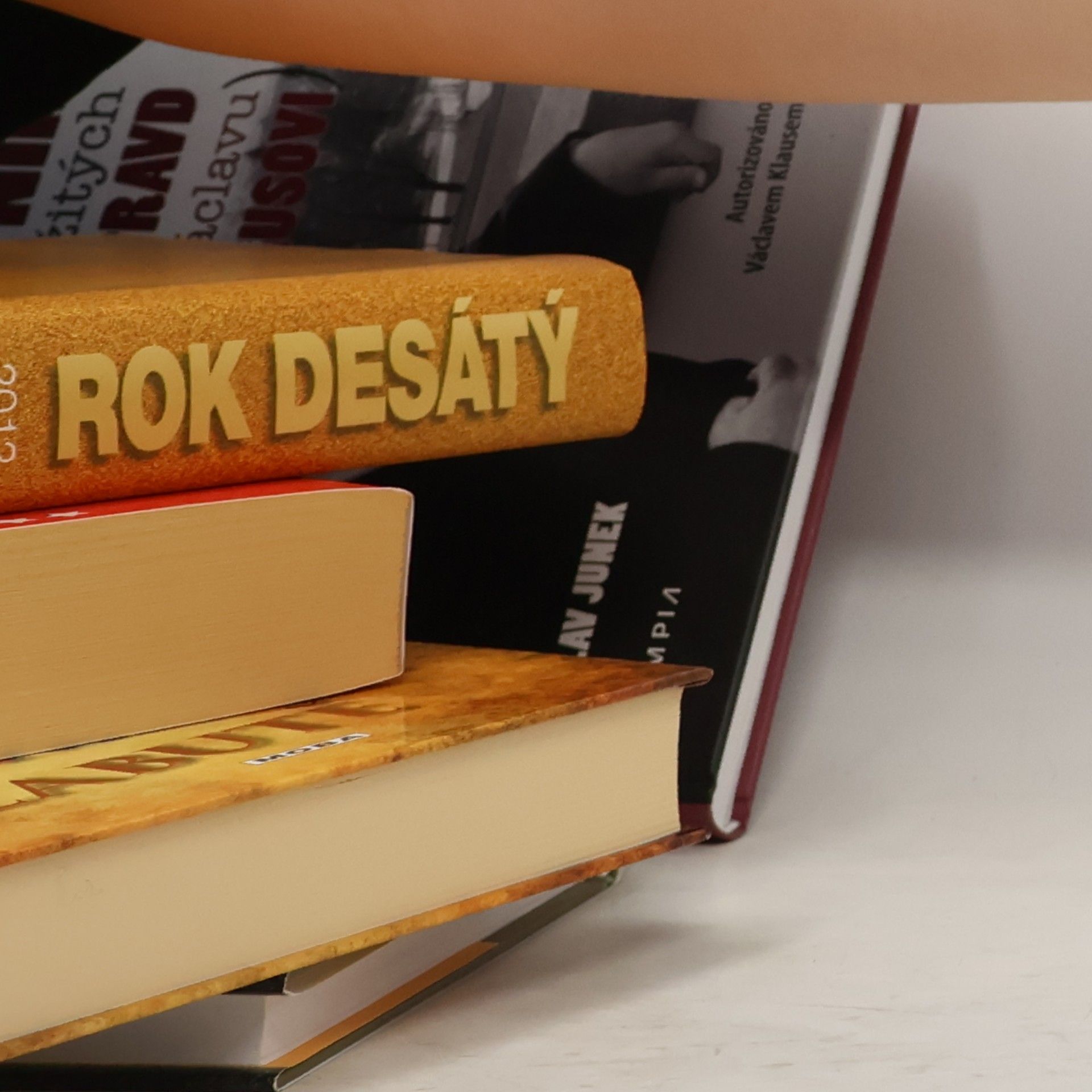Inari Rautsi Saddám Husajn. Politická biografie