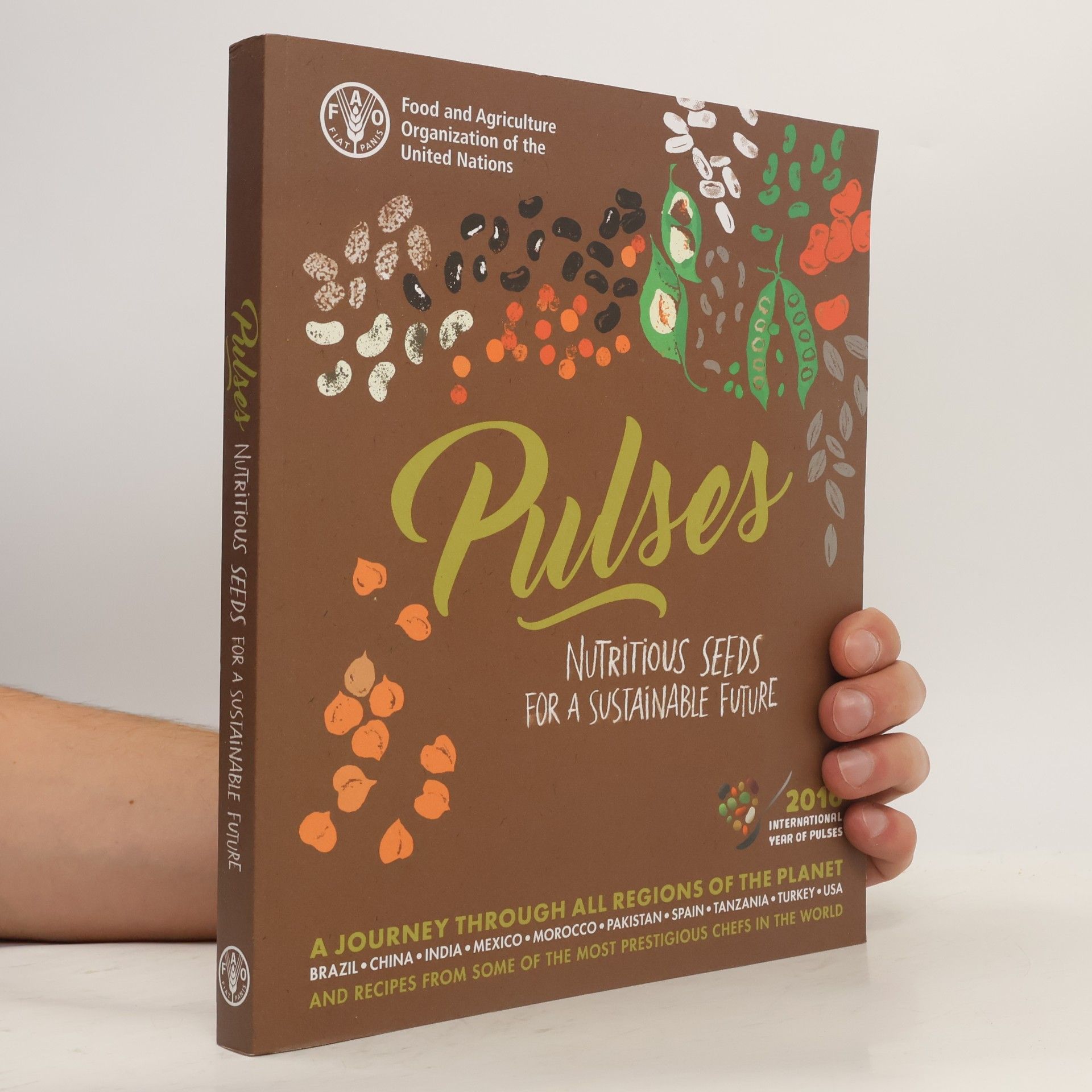 Saúl Cepeda Lezcano Pulses