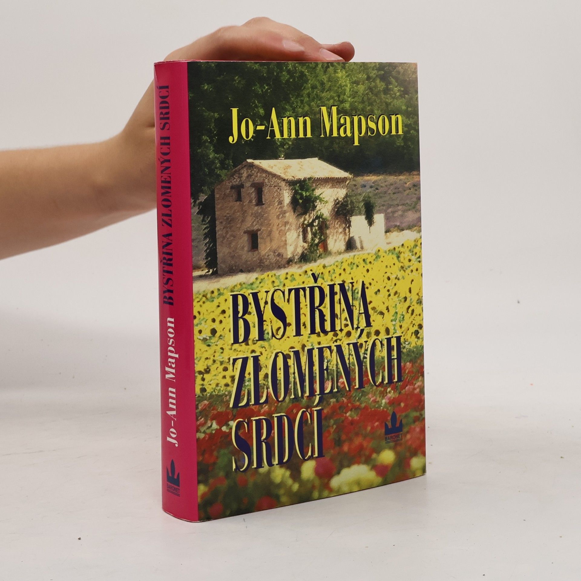 Jo Ann Mapson Bystřina zlomených srdcí
