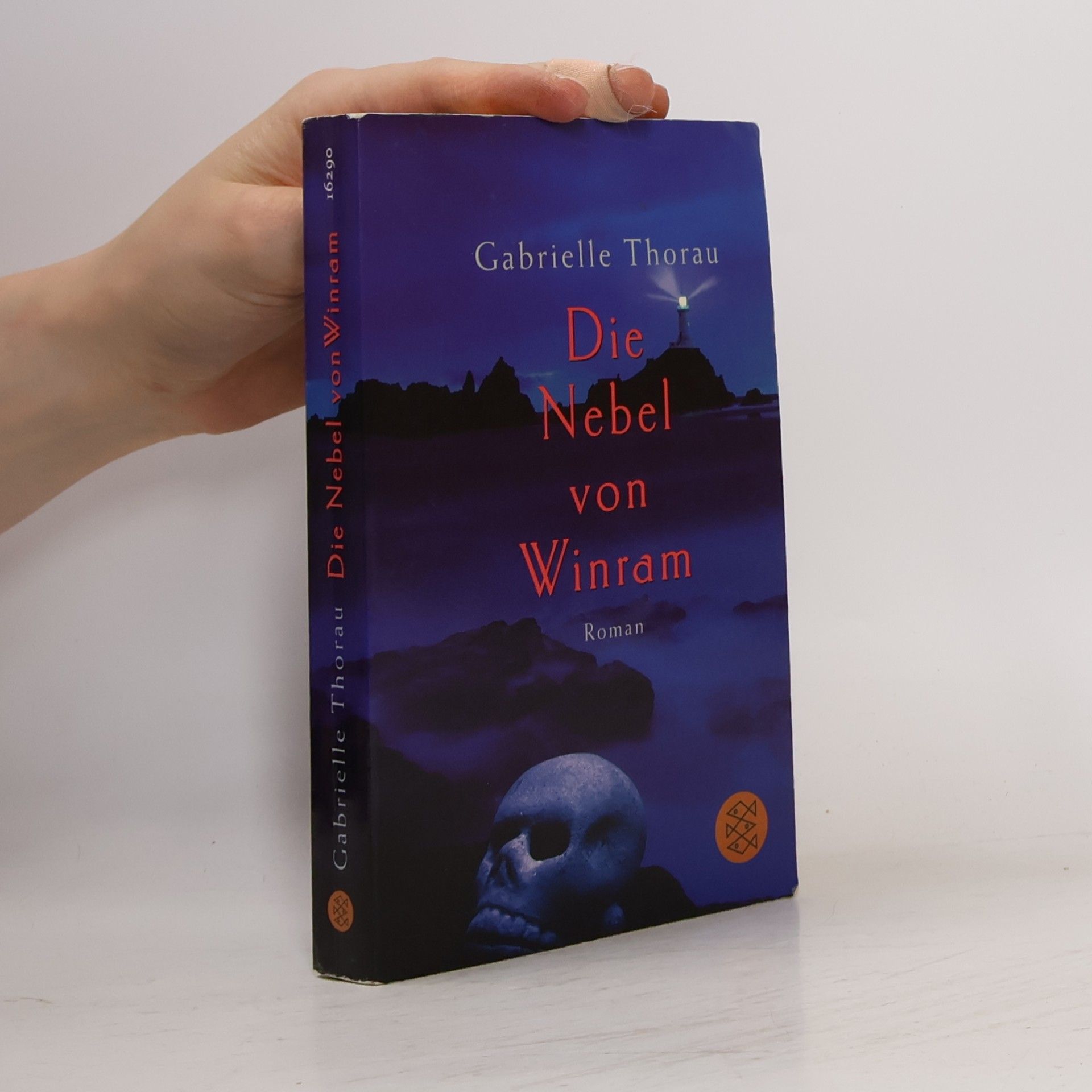 Gabrielle Thorau Die Nebel von Winram