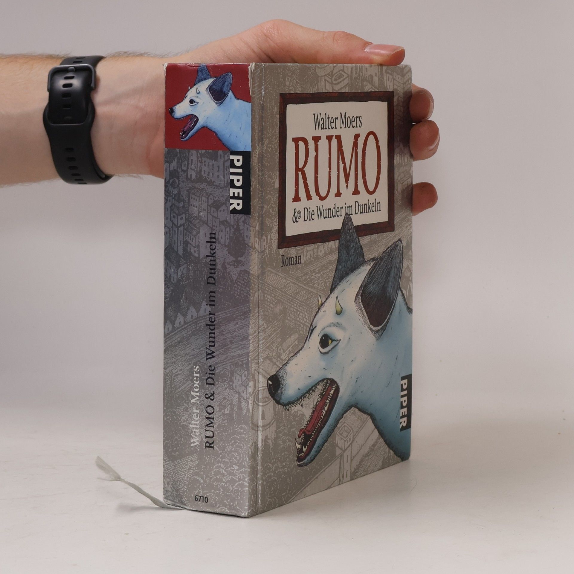 Walter Moers Rumo & die Wunder im Dunkeln