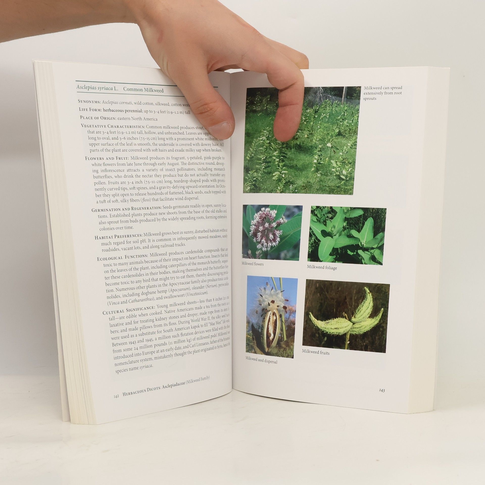 Peter Del Tredici Wild Urban Plants of the Northeast