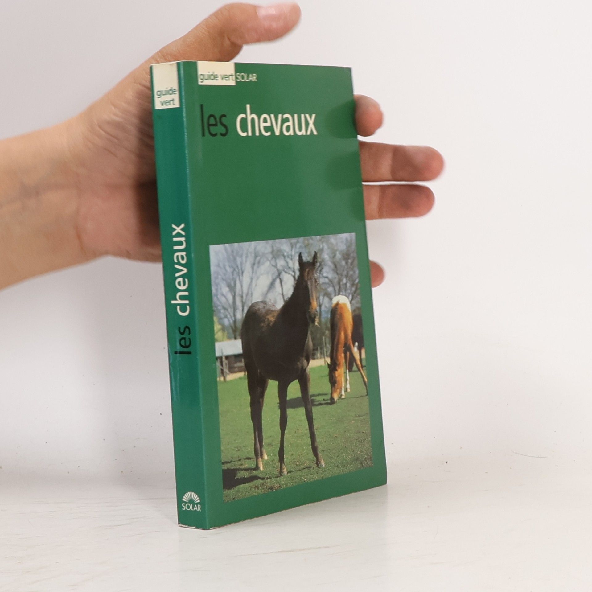 Maurizio Bongianni Les chevaux - Guide vert