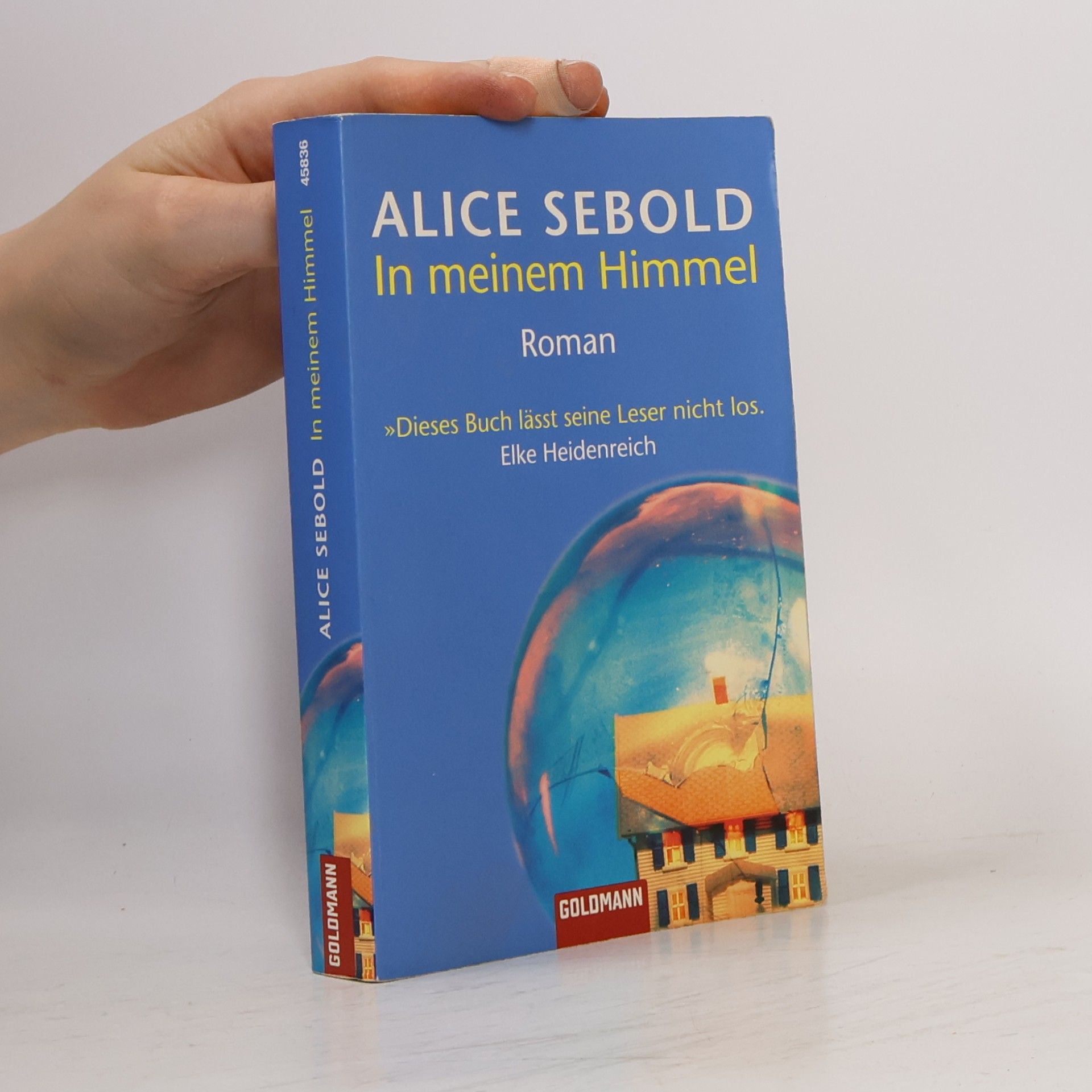 Alice Sebold In meinem Himmel